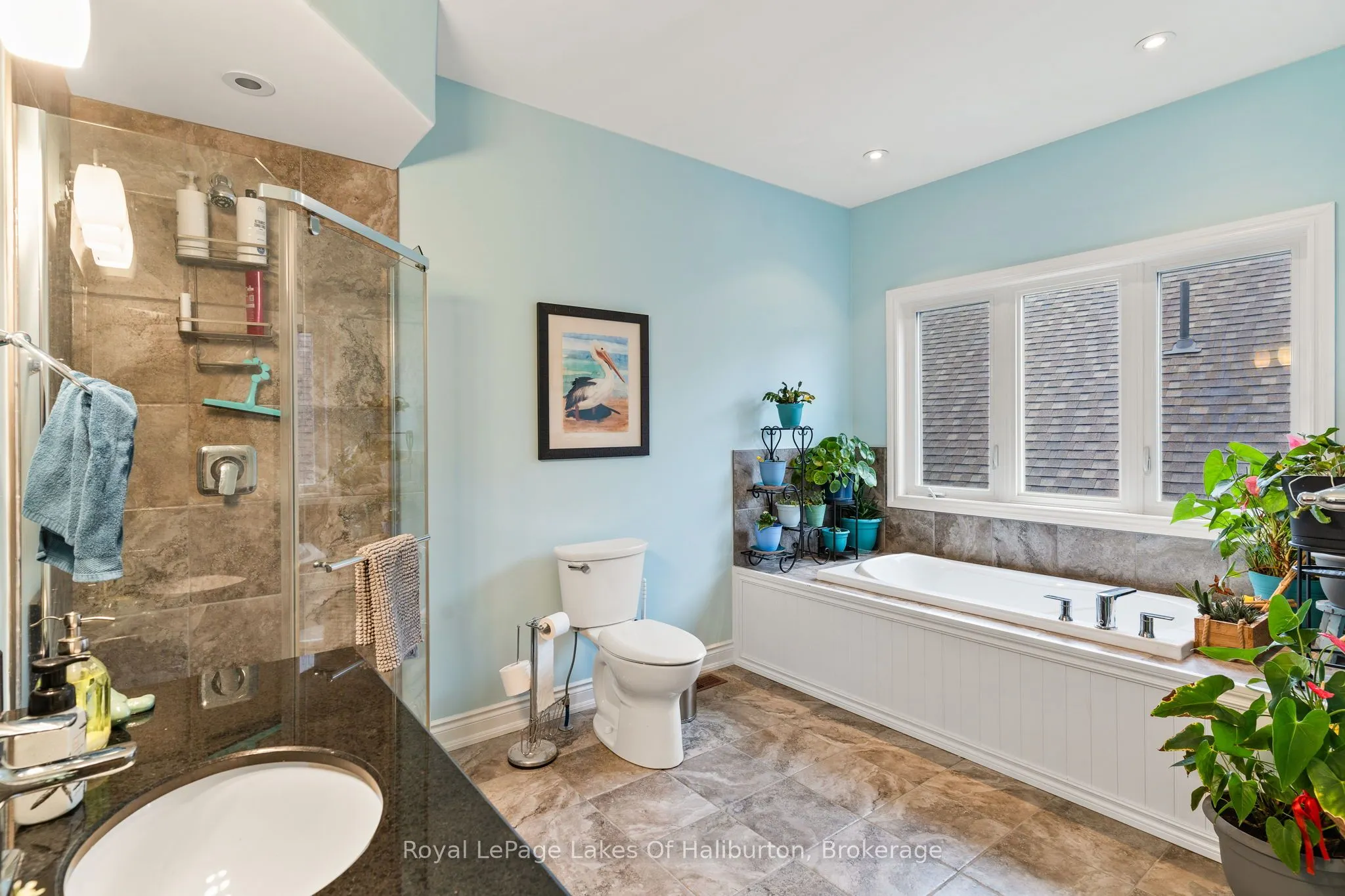 9 Webb Circle, #5