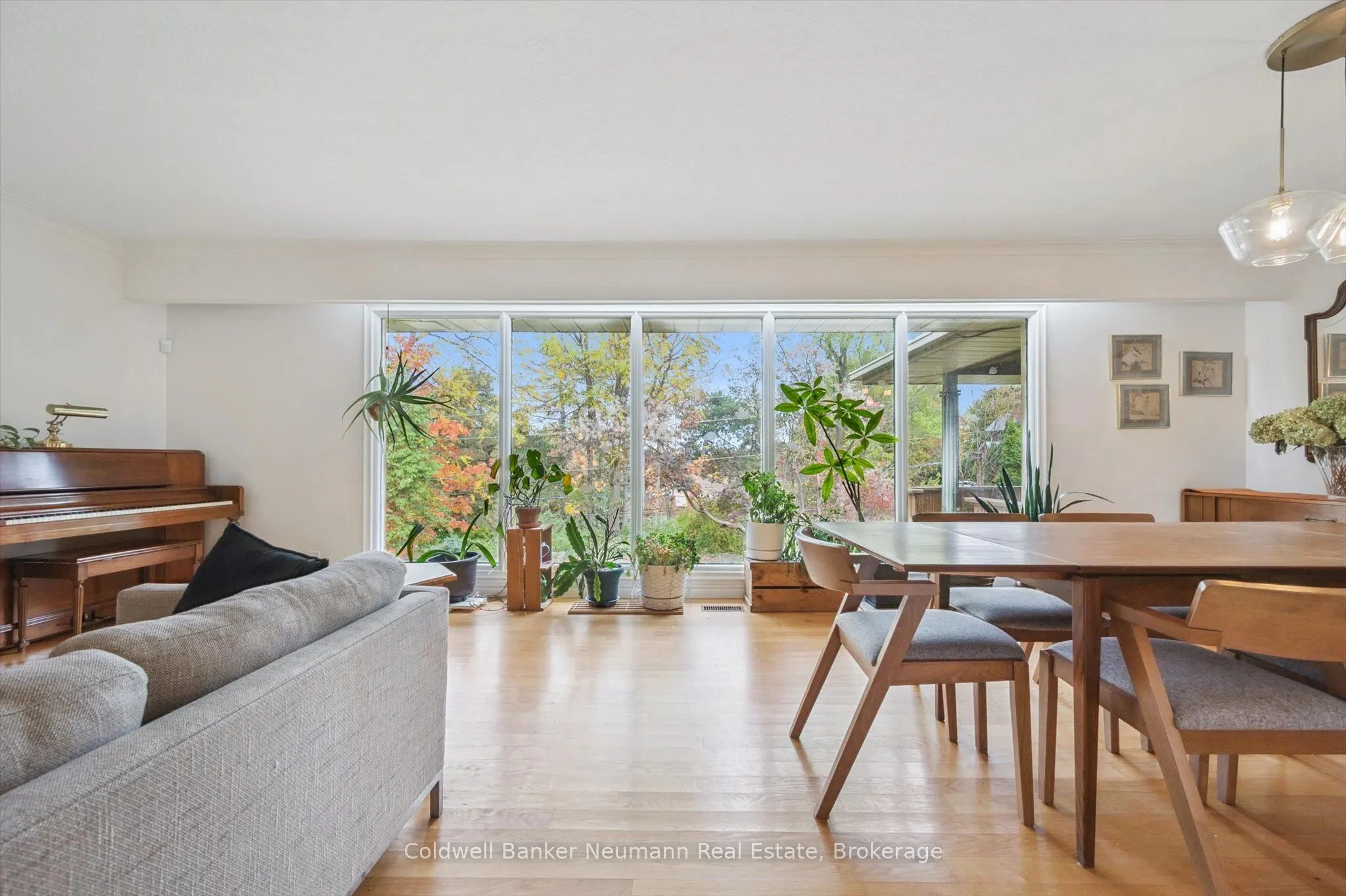 36 Harcourt Drive