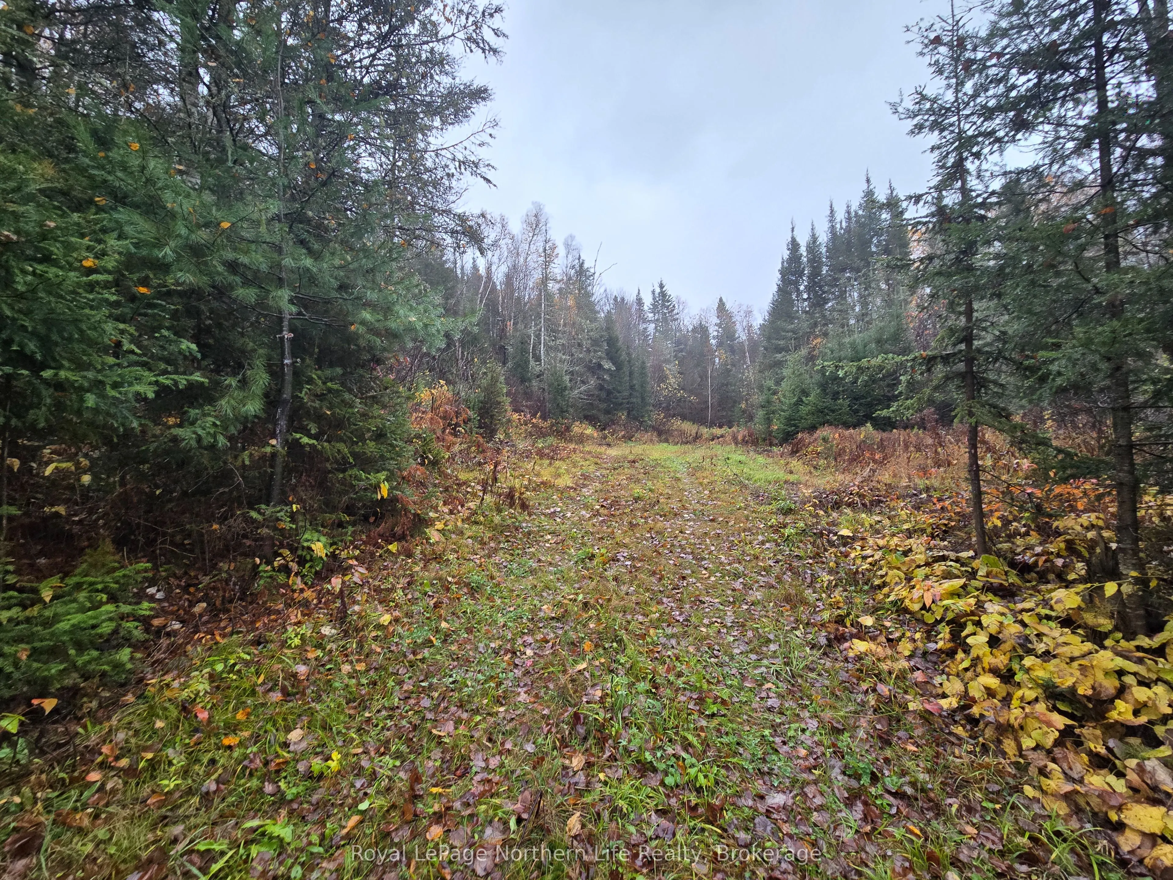 942 DEVELOPEMENT RD Road