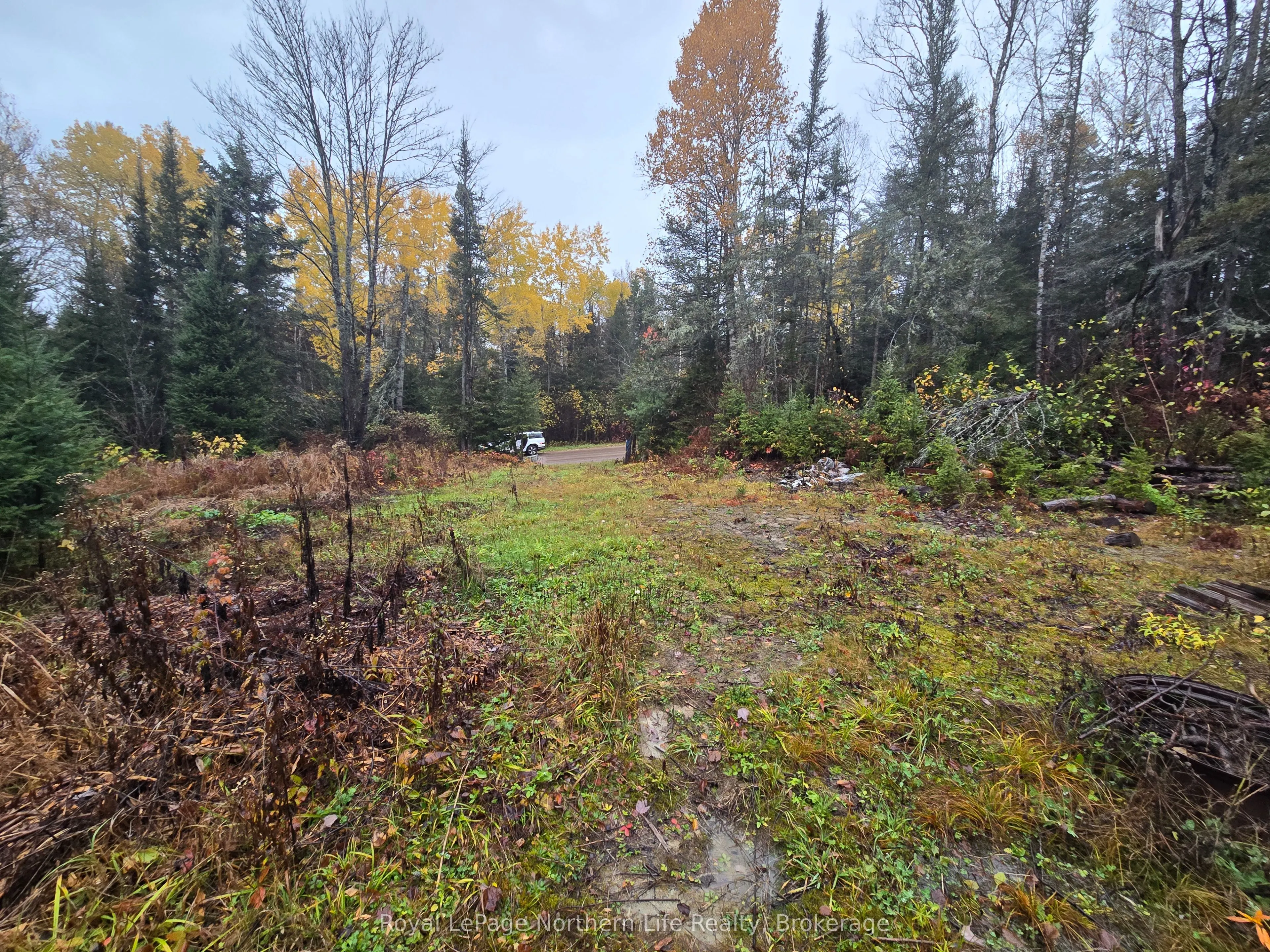 942 DEVELOPEMENT RD Road
