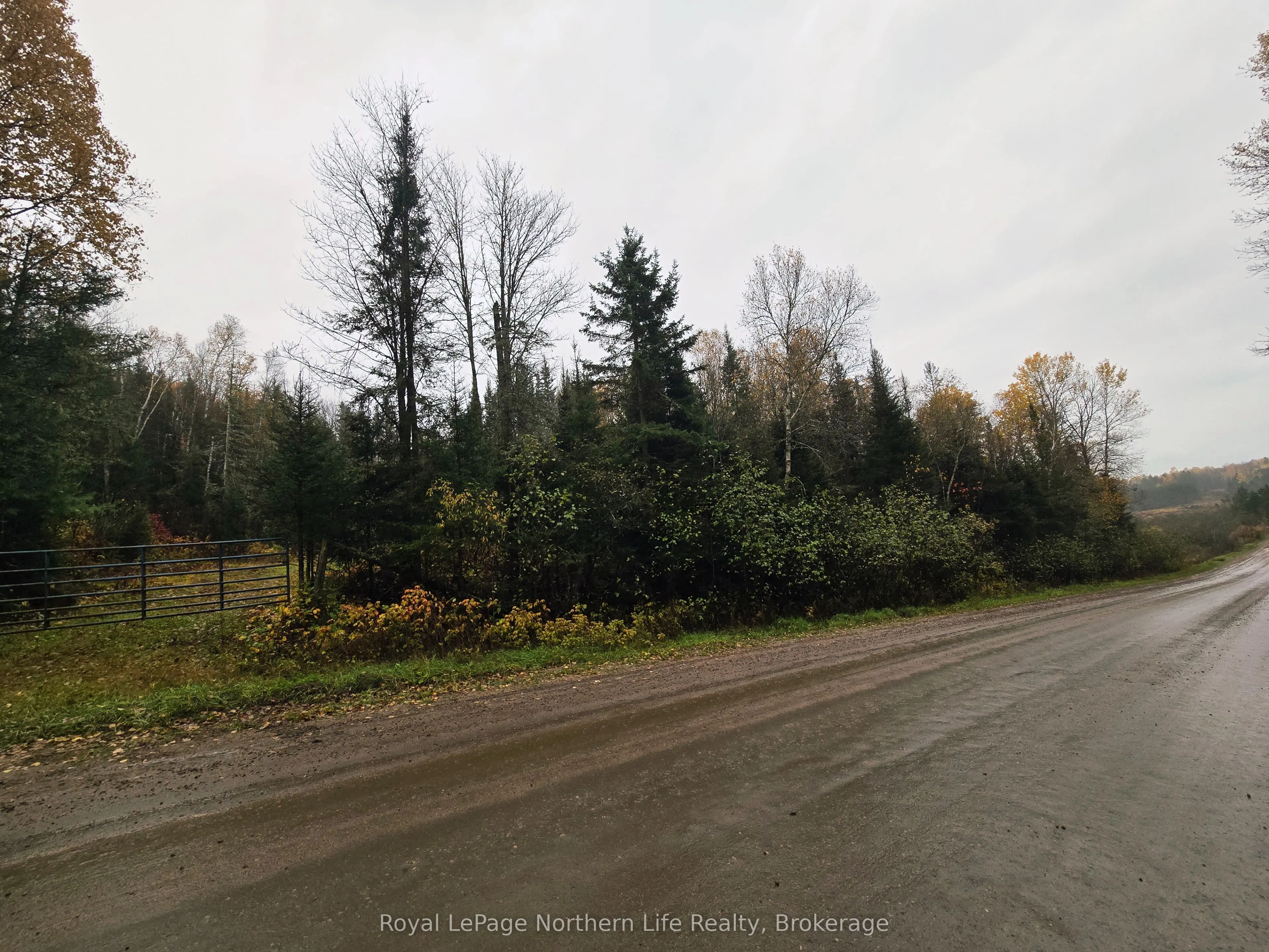 942 DEVELOPEMENT RD Road
