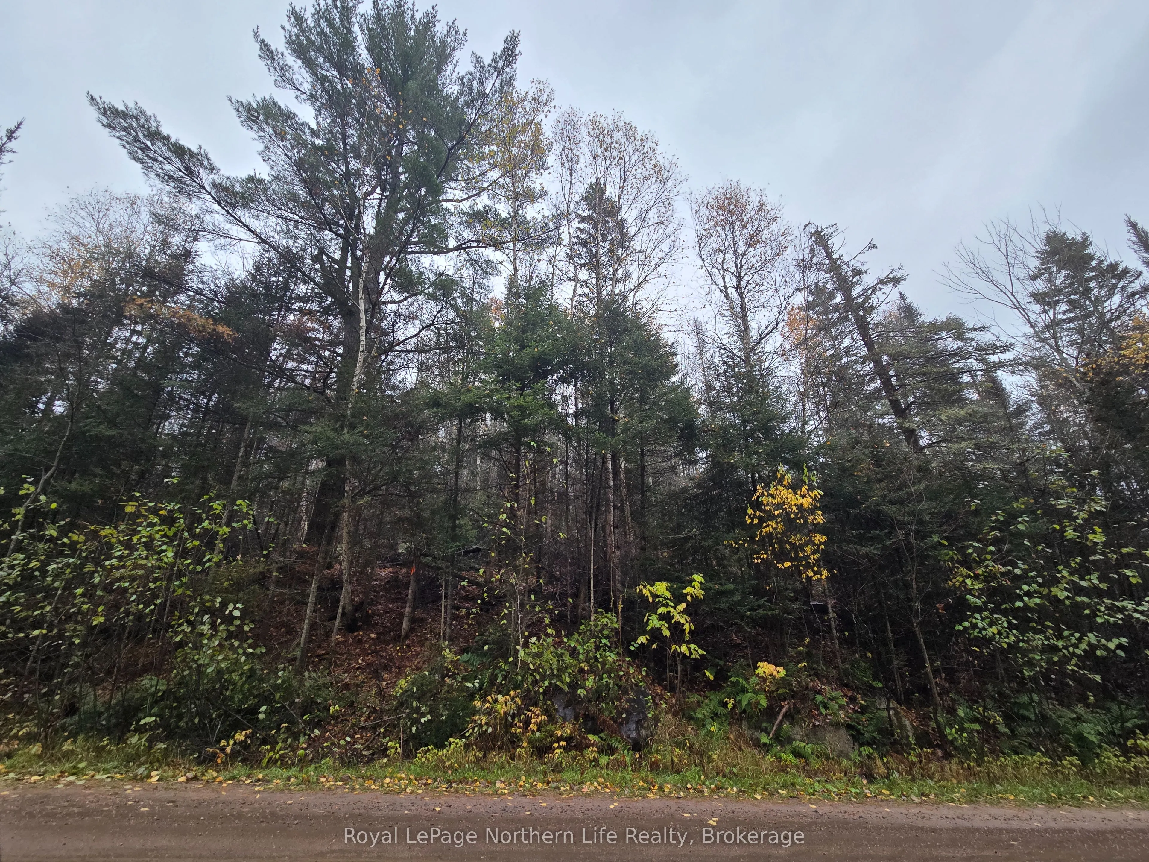 942 DEVELOPEMENT RD Road