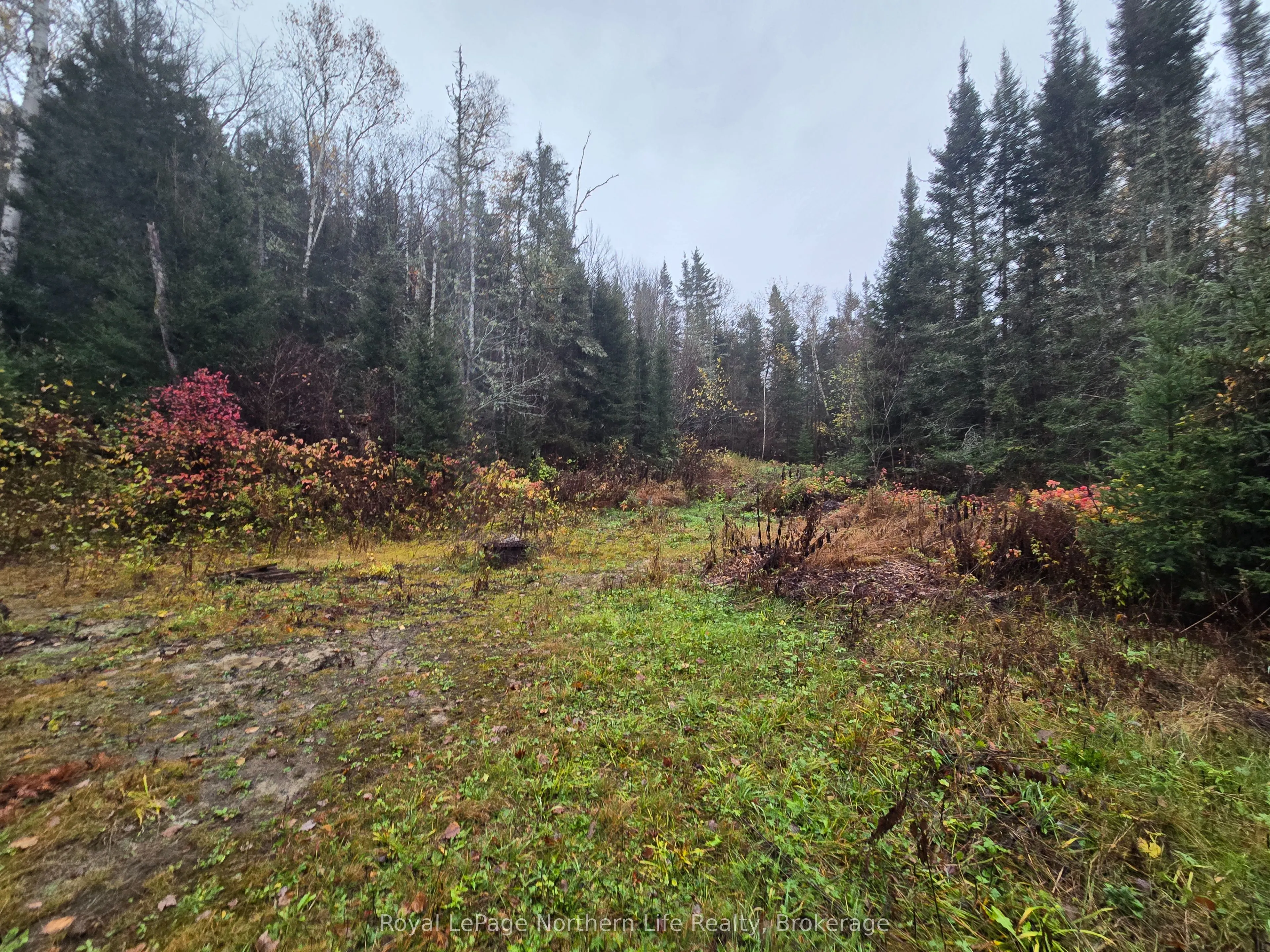 942 DEVELOPEMENT RD Road