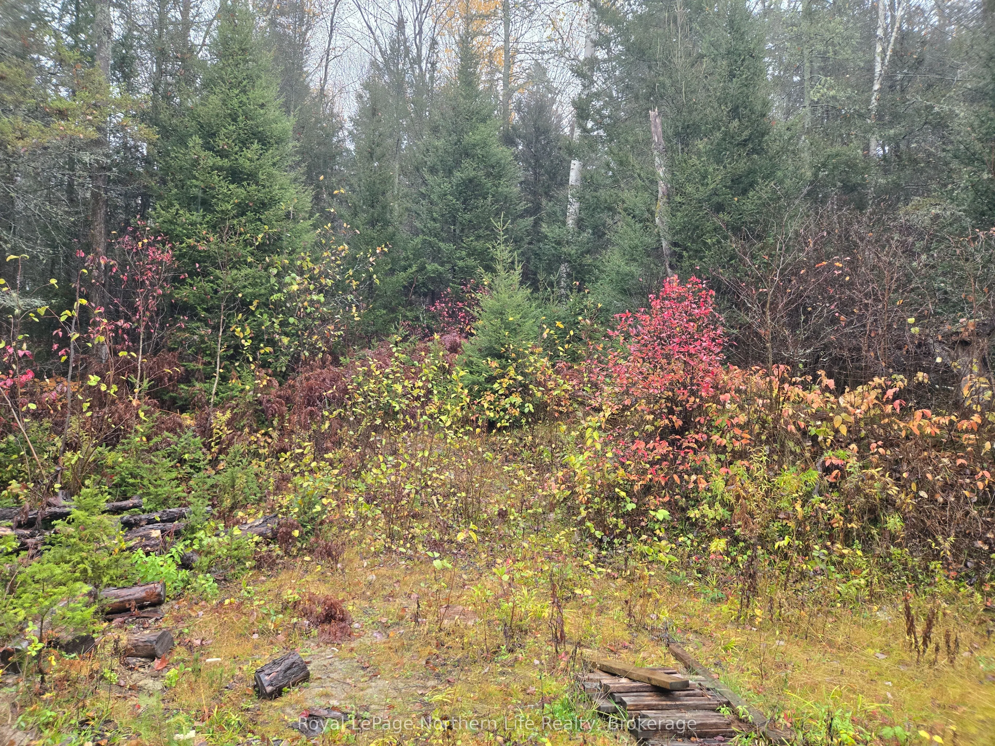 942 DEVELOPEMENT RD Road