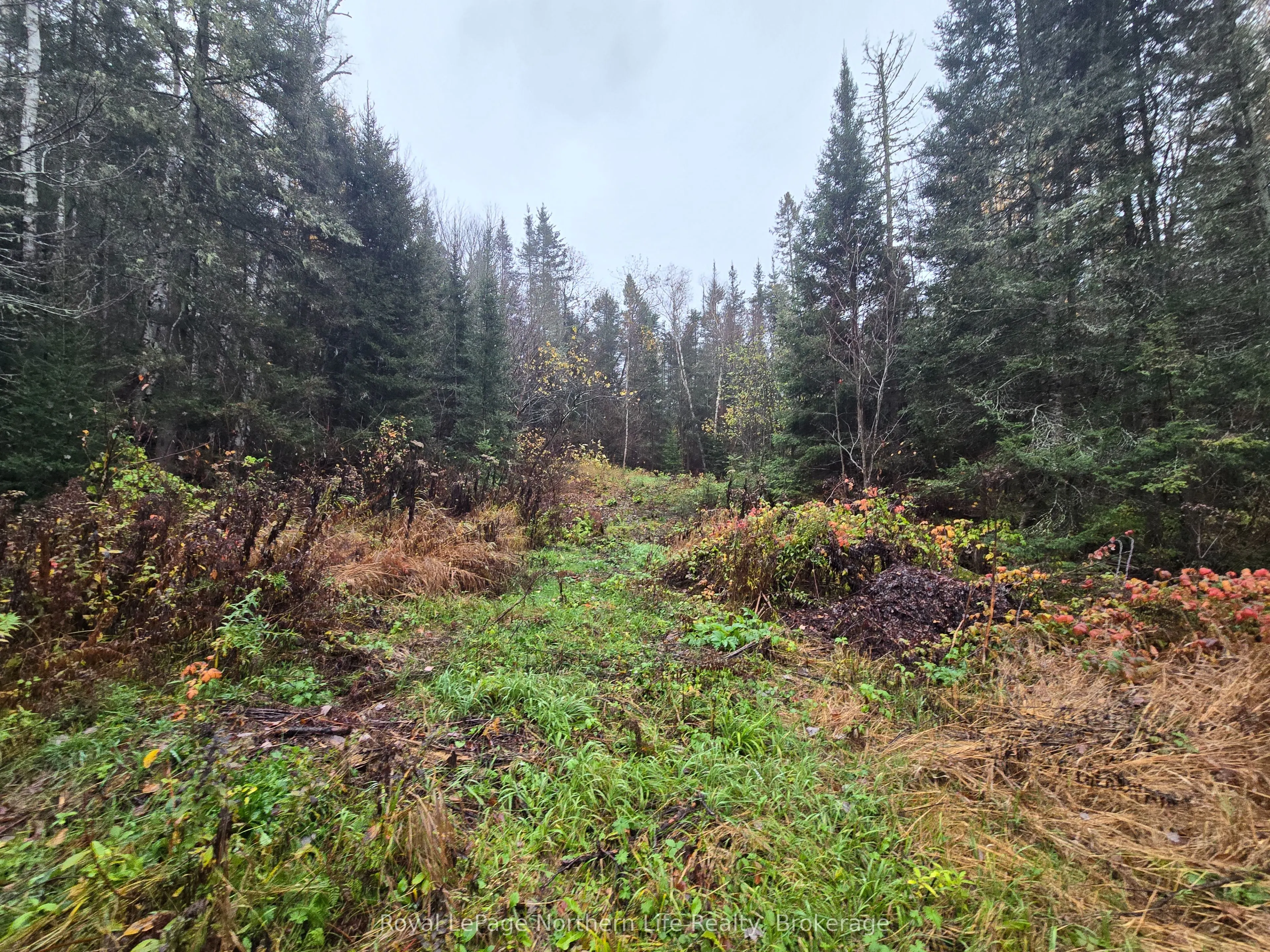 942 DEVELOPEMENT RD Road