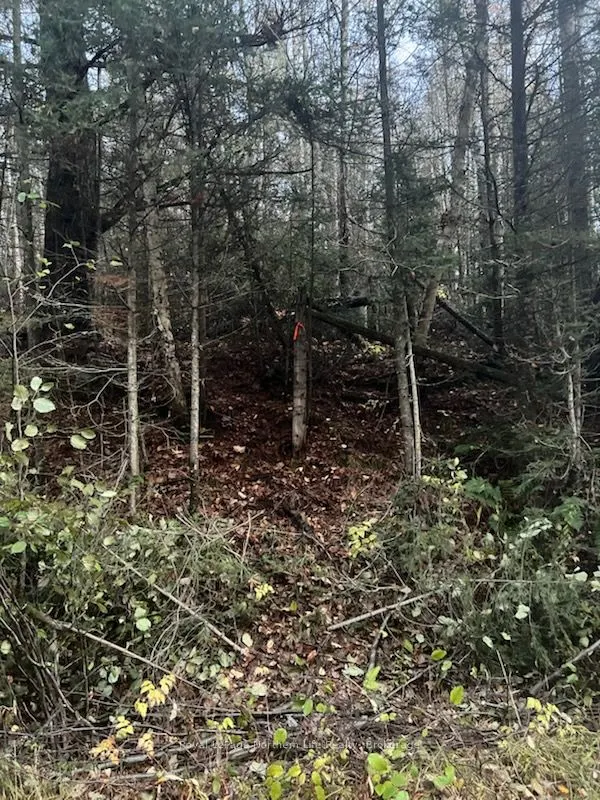 942 DEVELOPEMENT RD Road