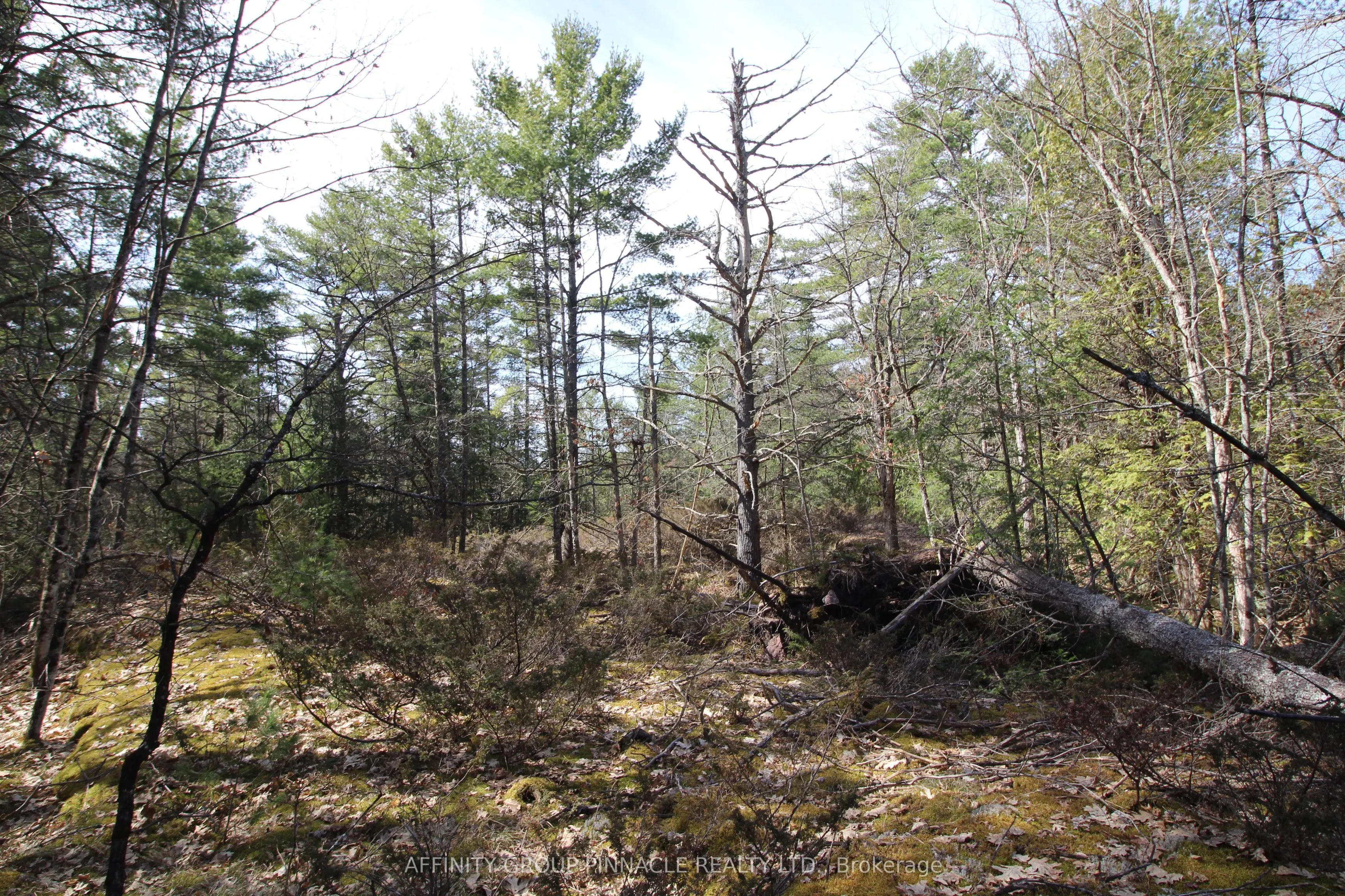 LOT 15 Concession 9