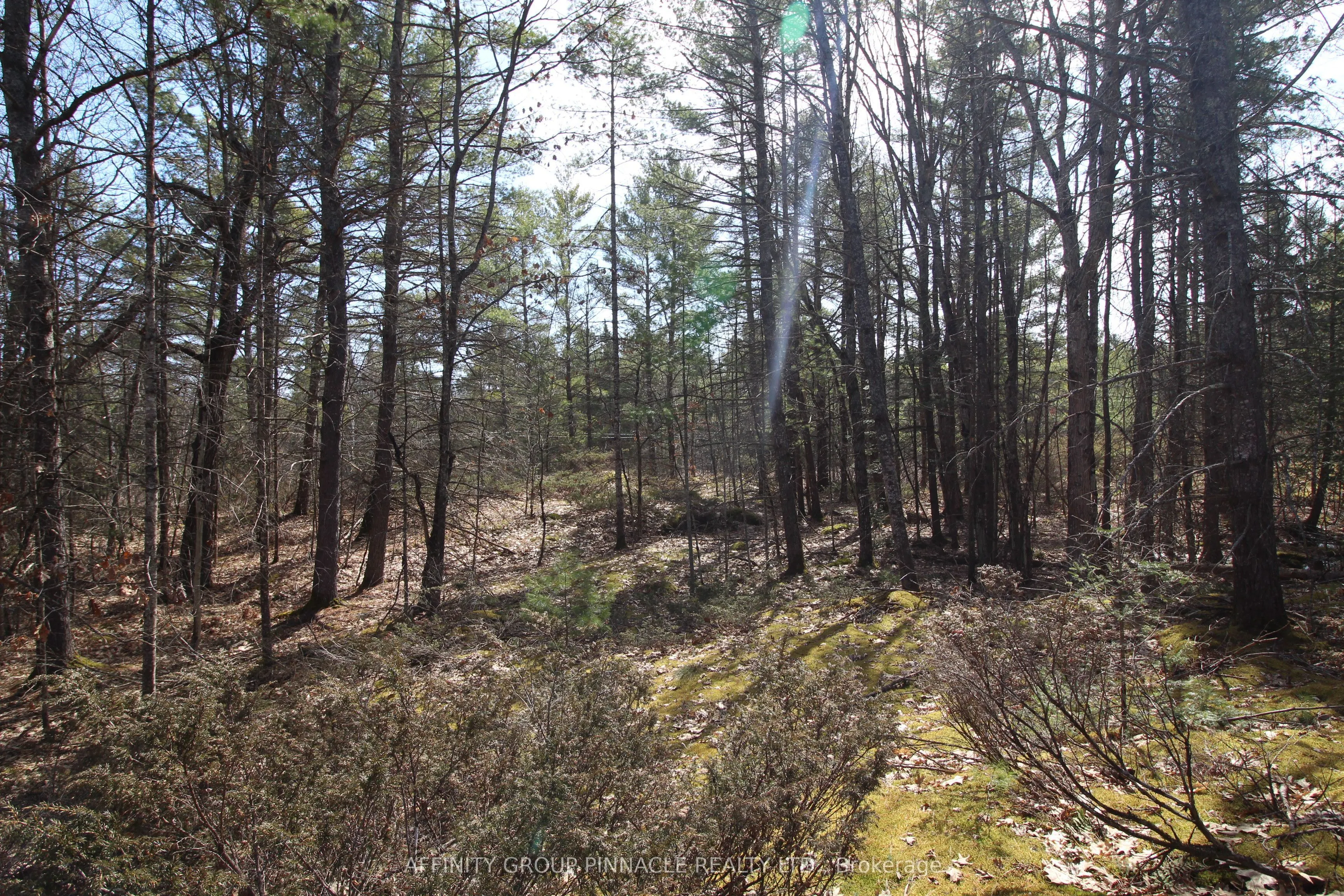 LOT 15 Concession 9