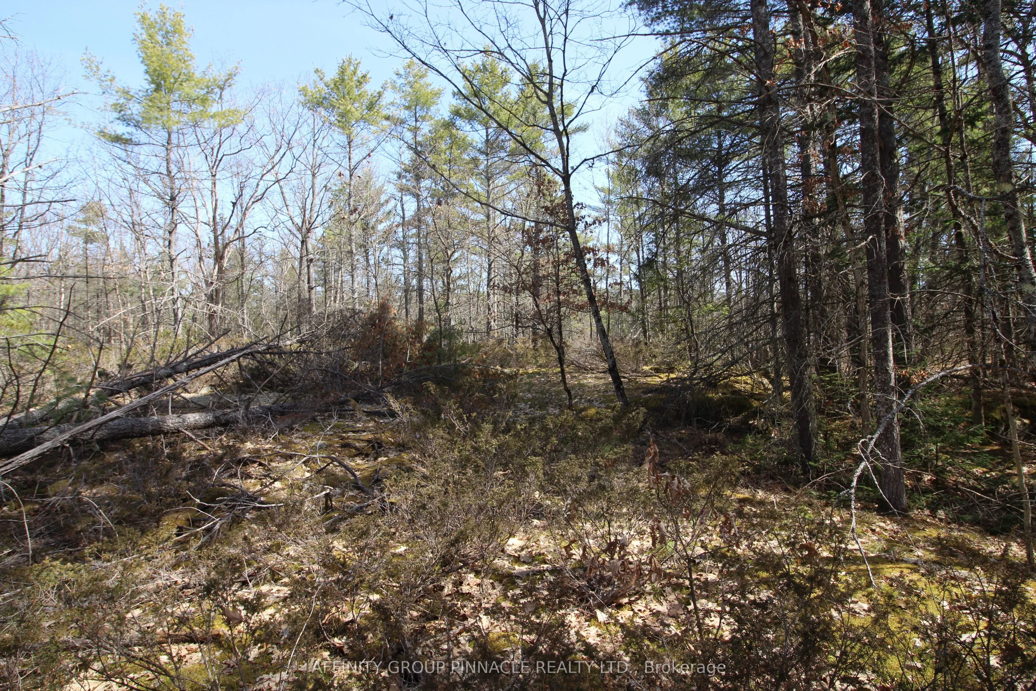 LOT 15 Concession 9