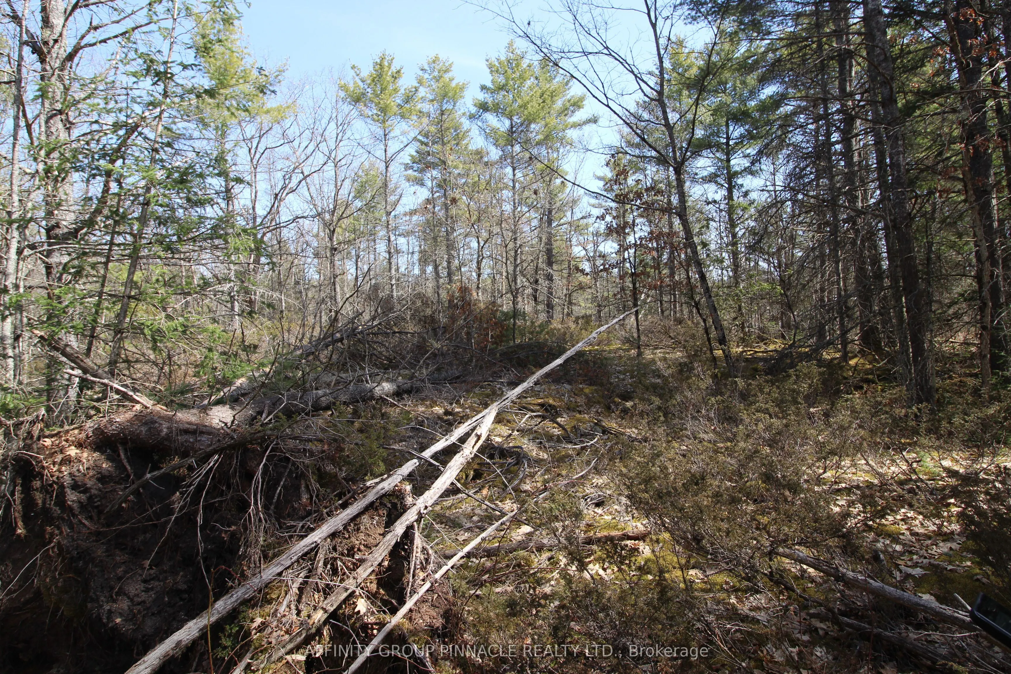 LOT 15 Concession 9