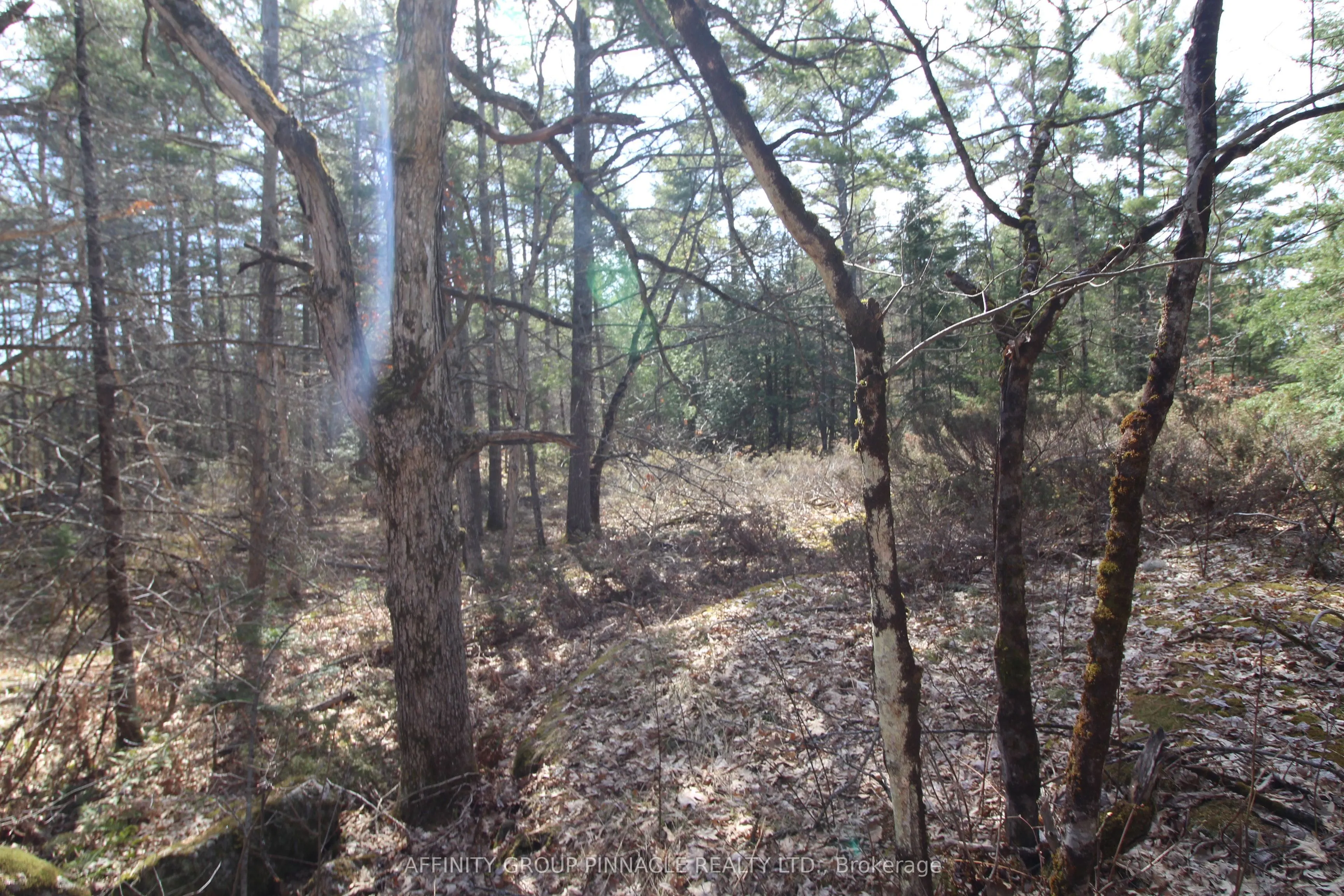 LOT 15 Concession 9
