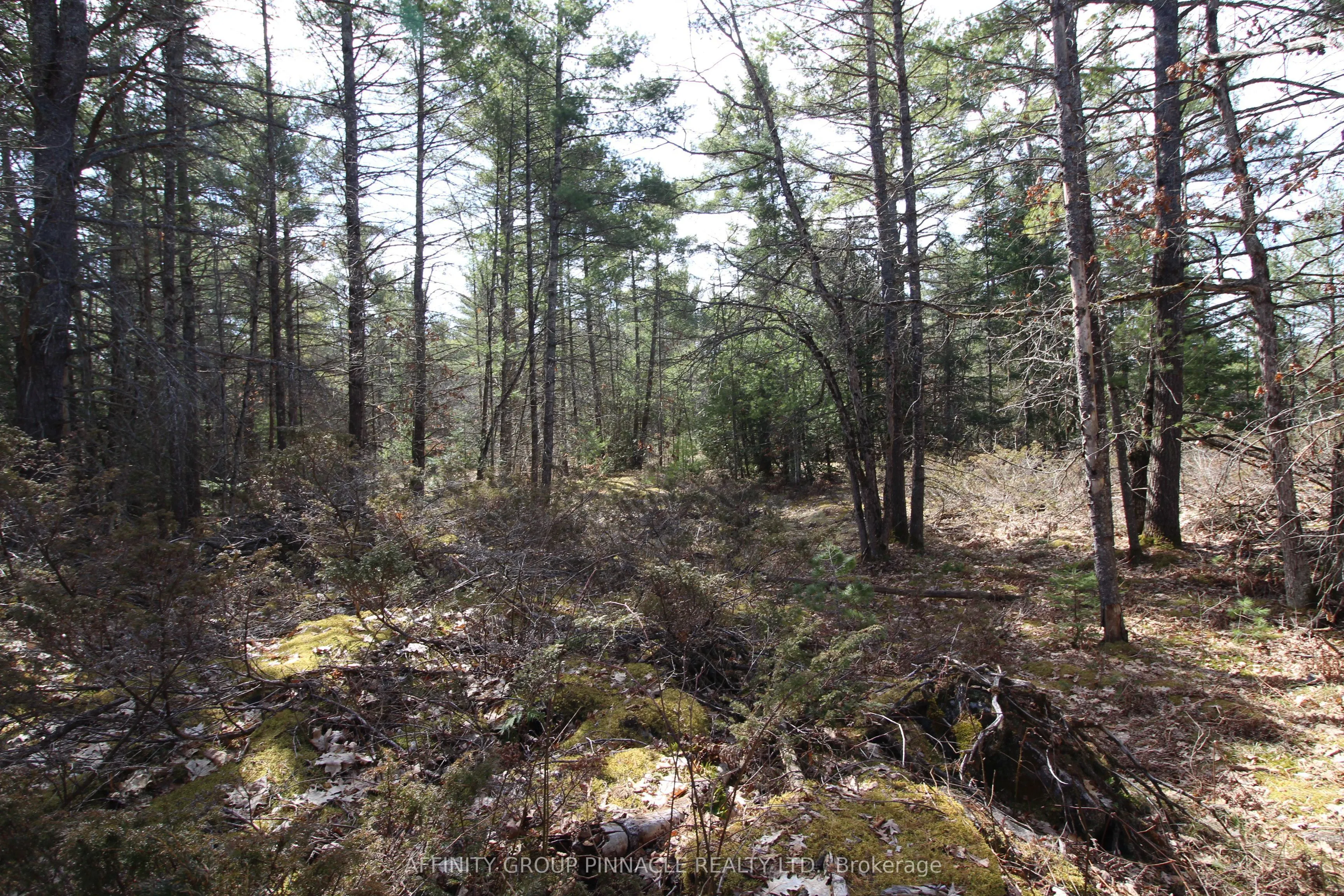 LOT 15 Concession 9