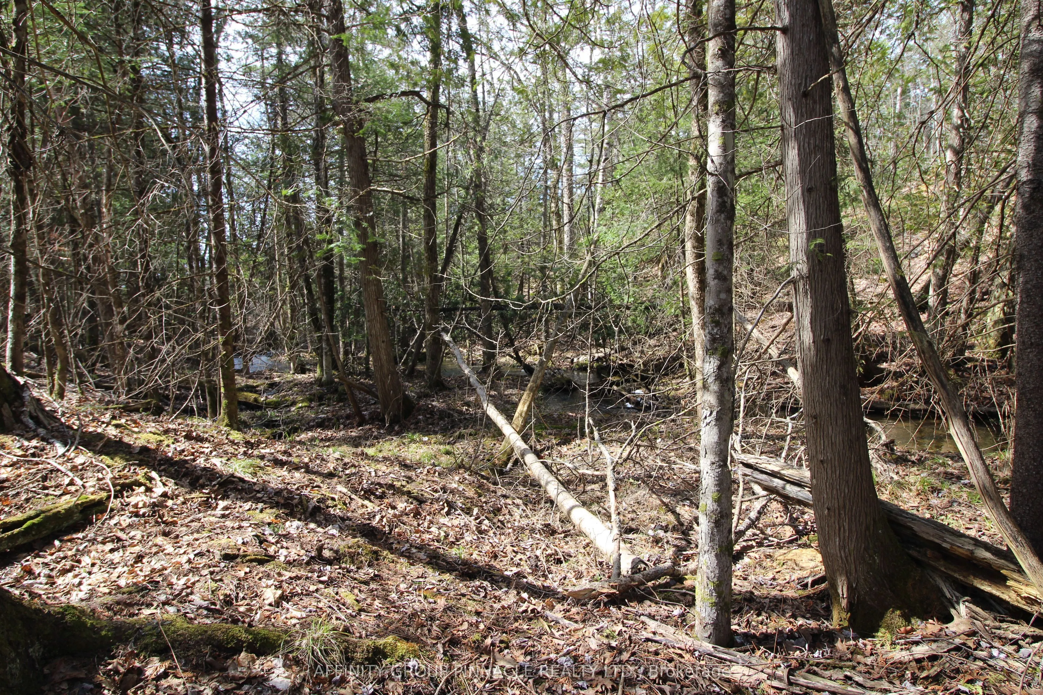 LOT 15 Concession 9