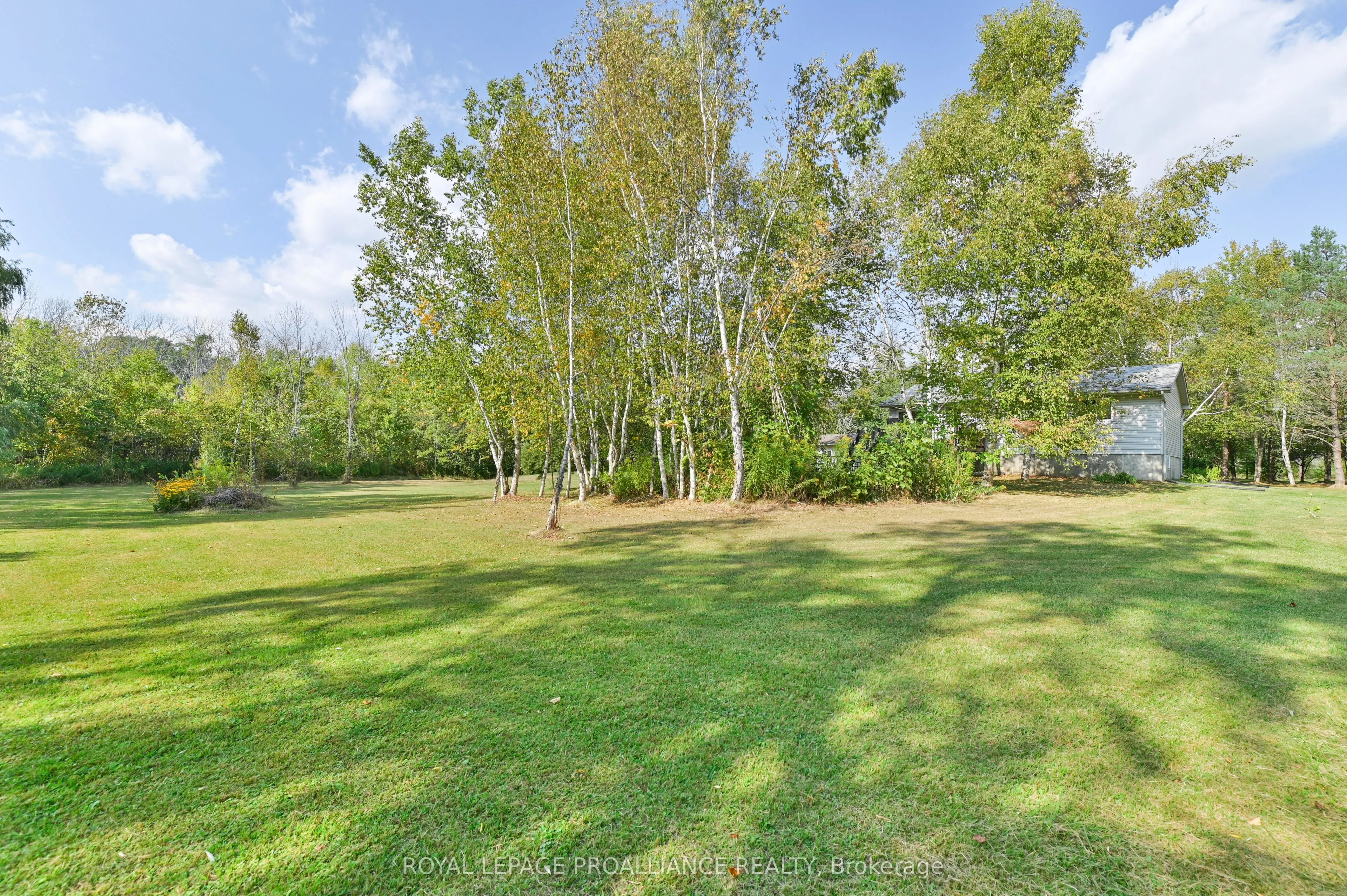 21289 Loyalist Parkway