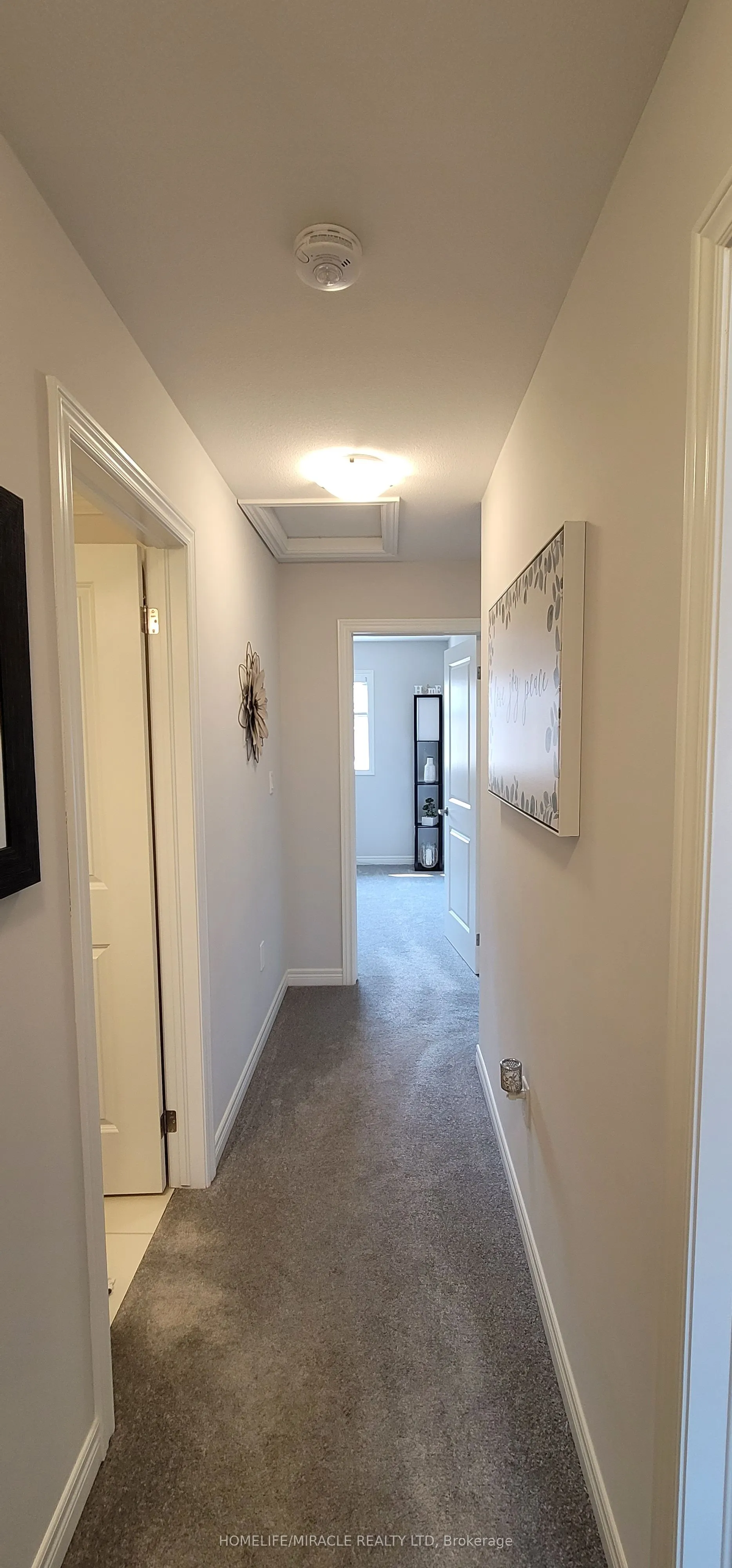 50 Lymburner Street