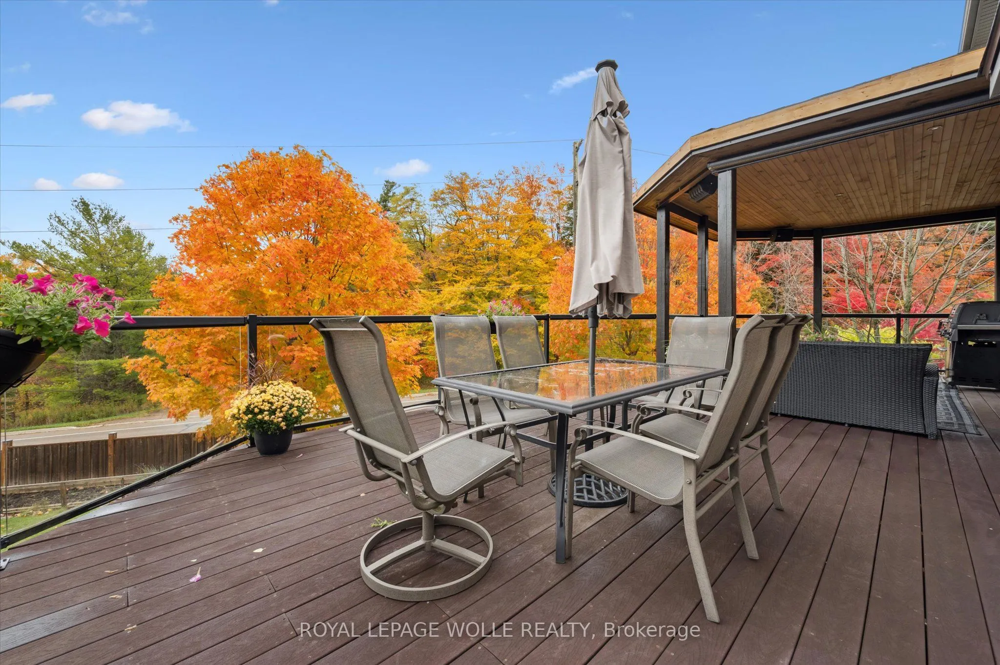 531 Wood Nettle Way