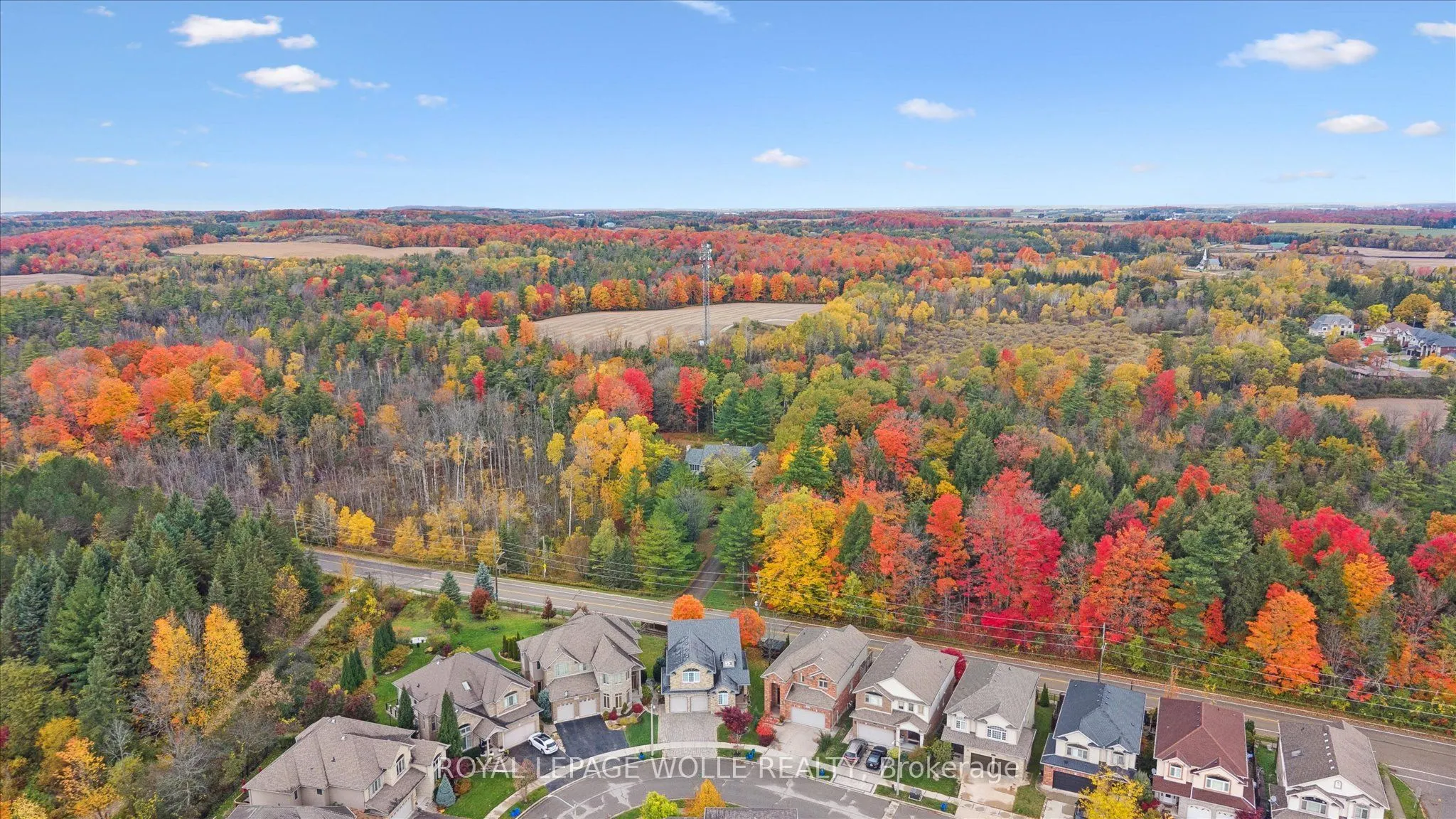 531 Wood Nettle Way