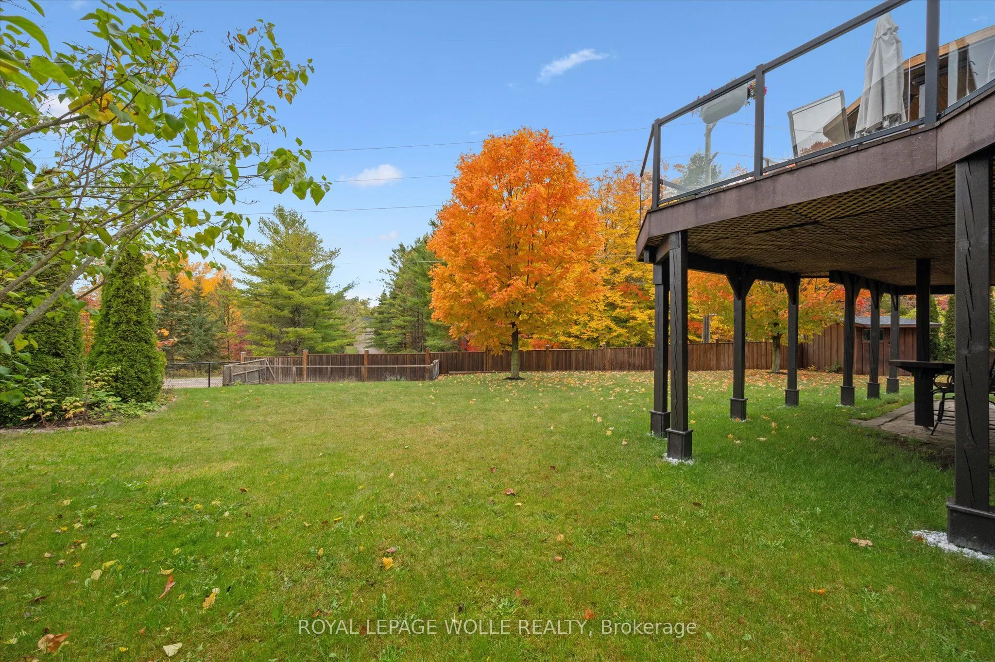 531 Wood Nettle Way