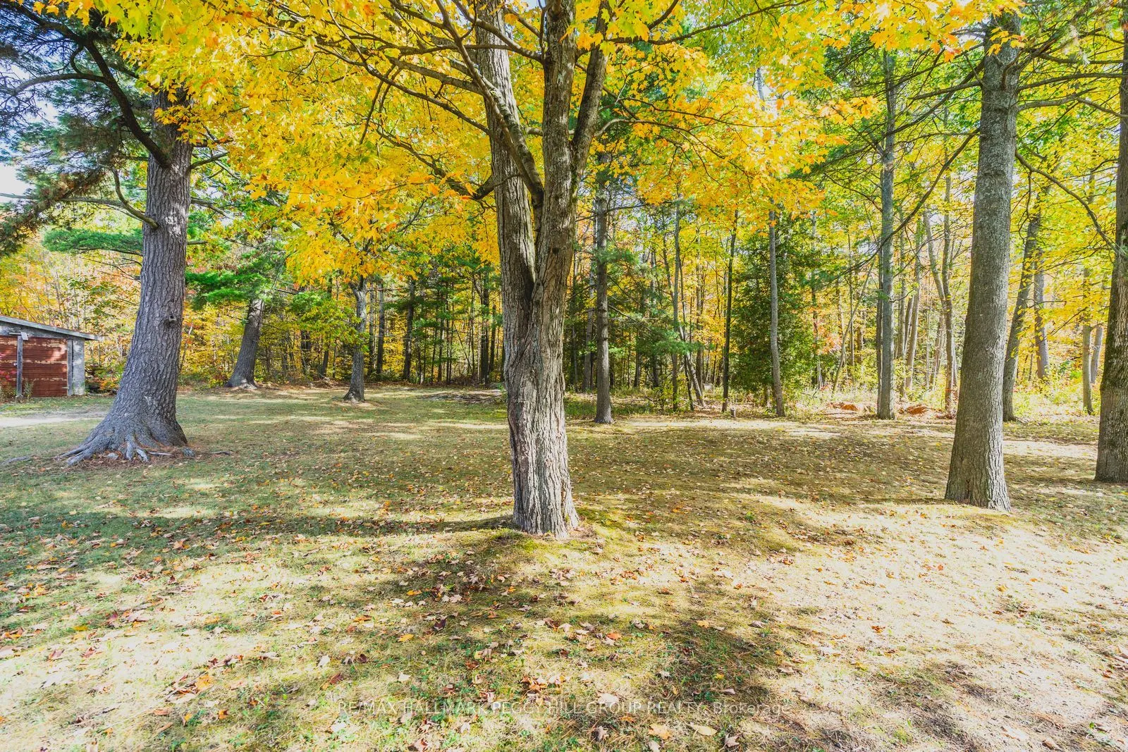 332 Baxter Loop Road