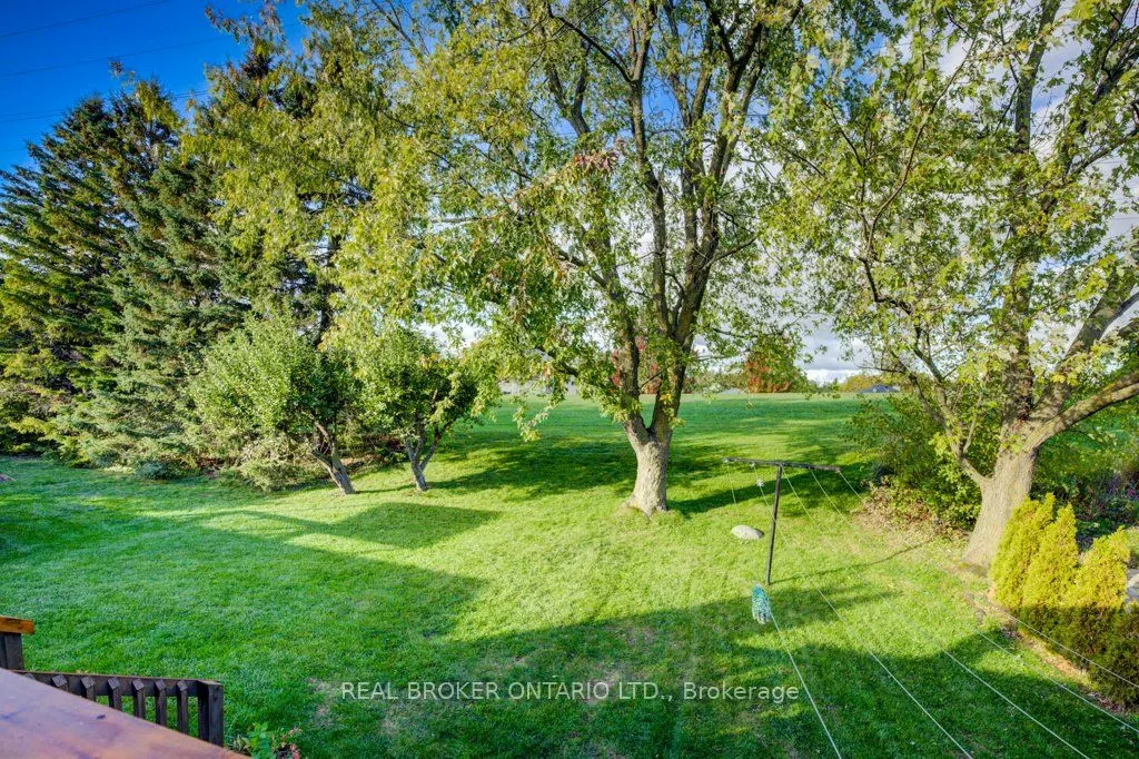 34 Willow Green Court