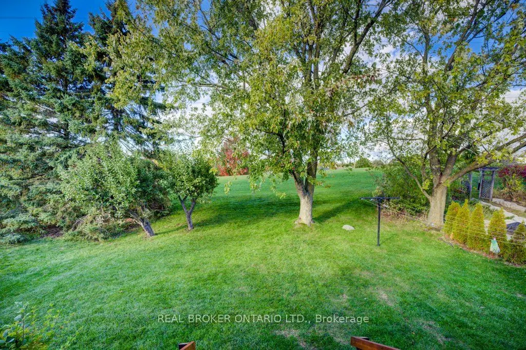 34 Willow Green Court