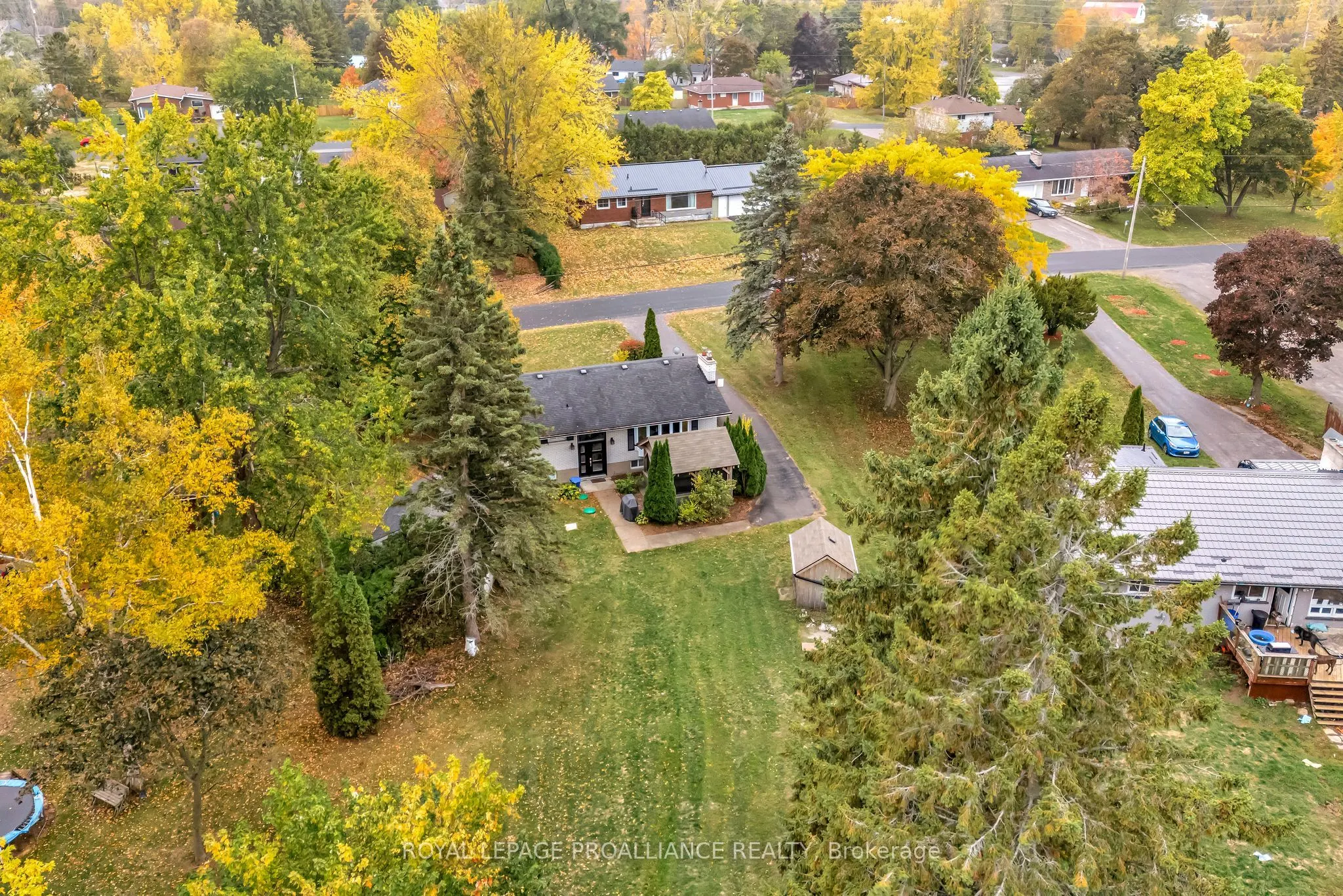 97 Roseland Drive