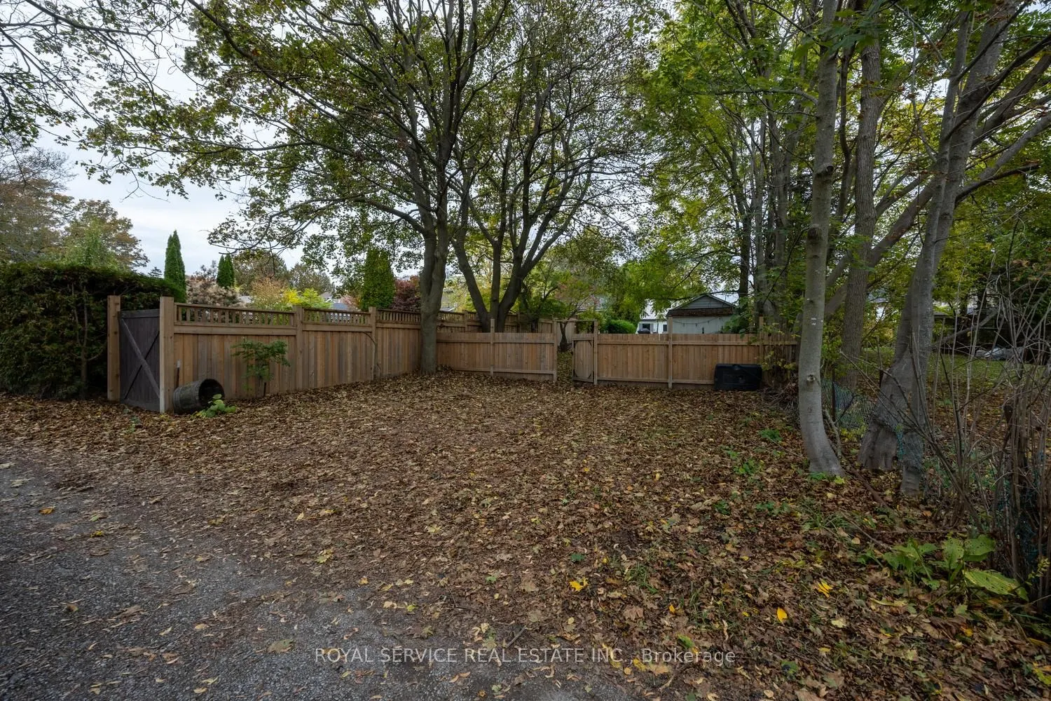 285 Ridout Street
