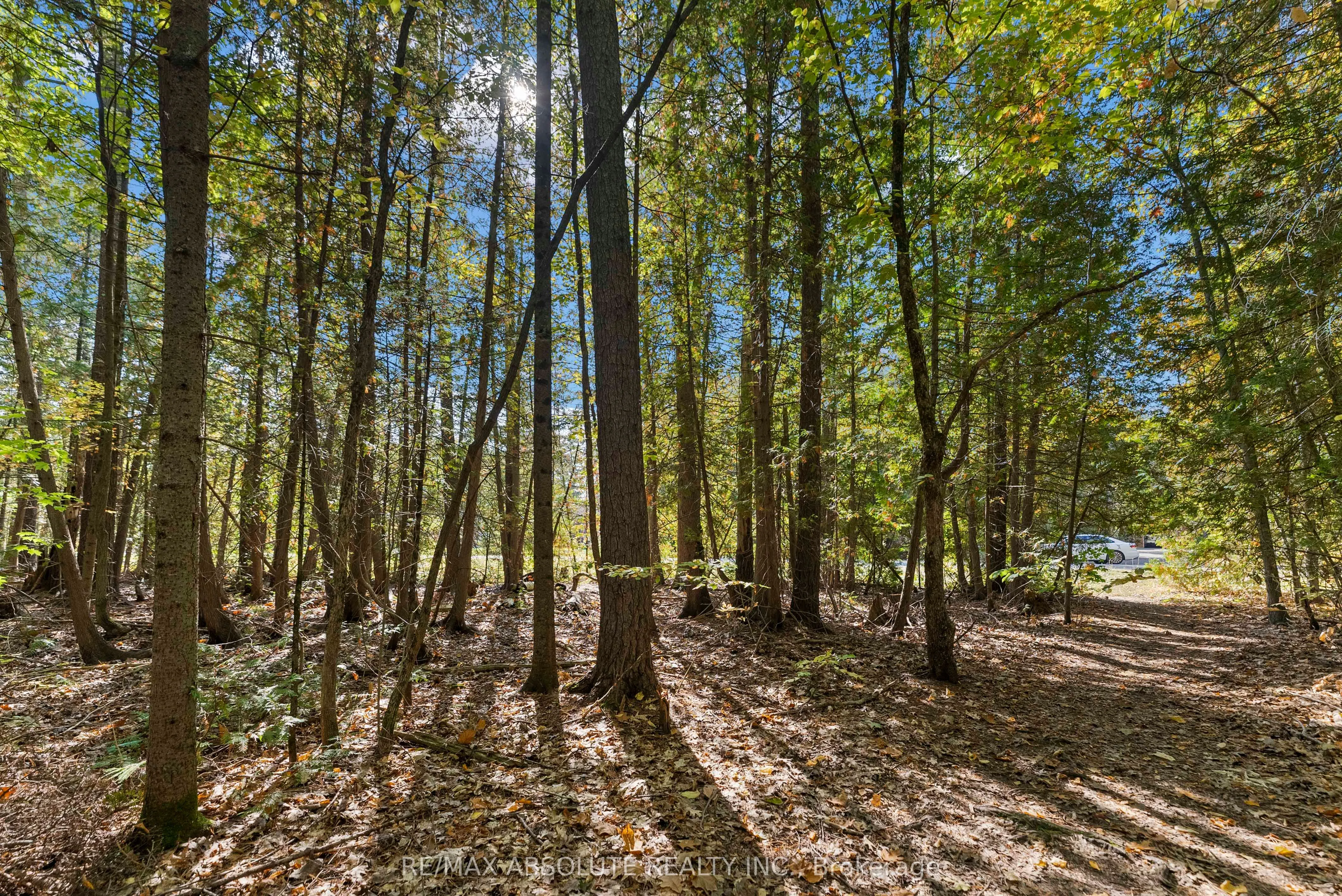 02 Braecrest Avenue
