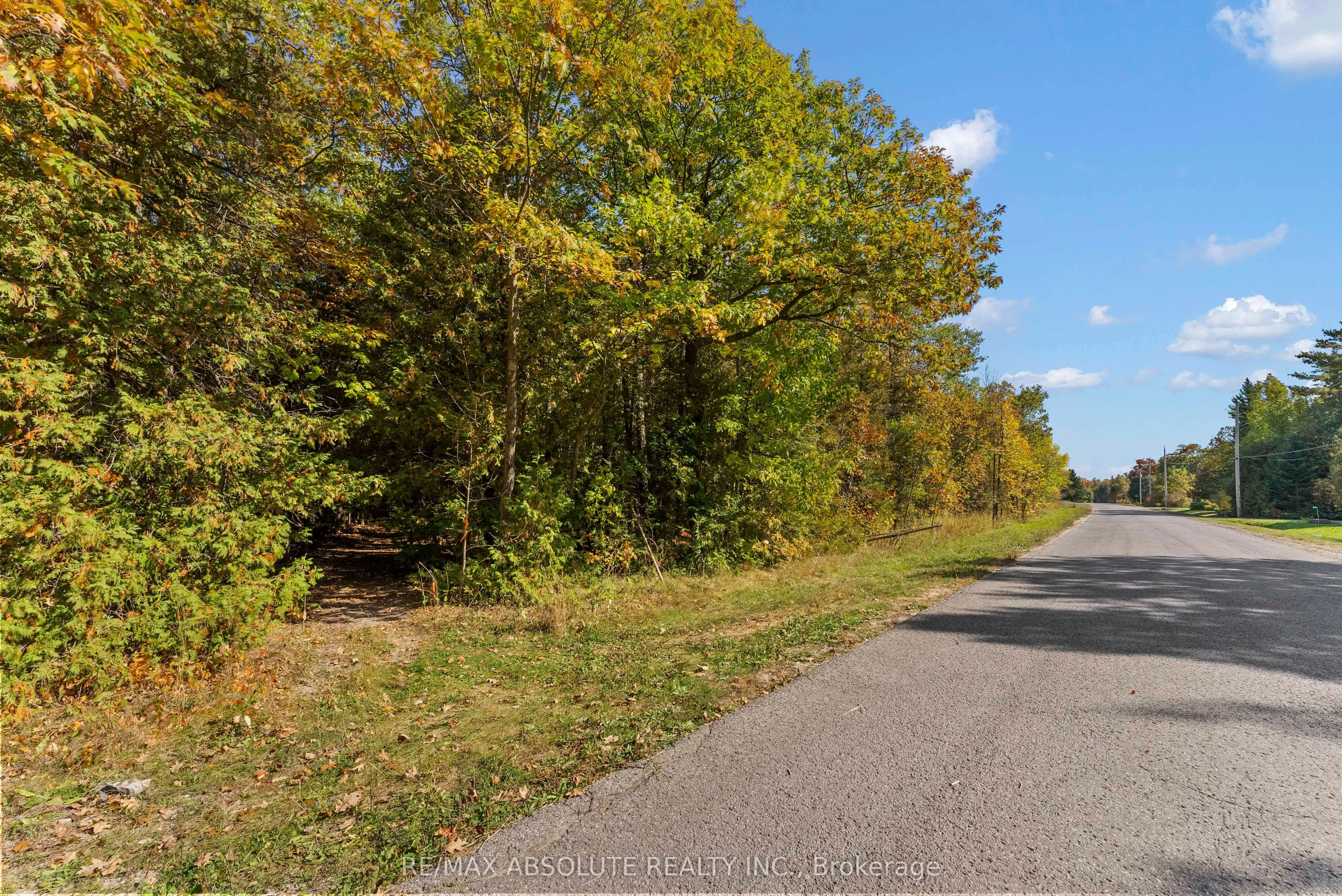 01 Braecrest Avenue