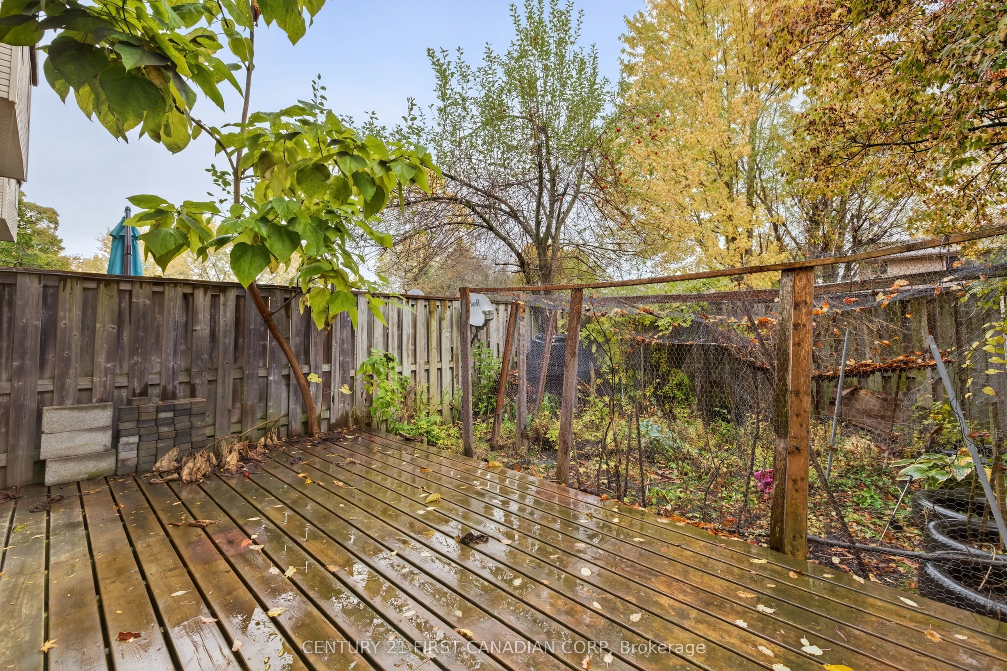 636 Wilkins Street, #5