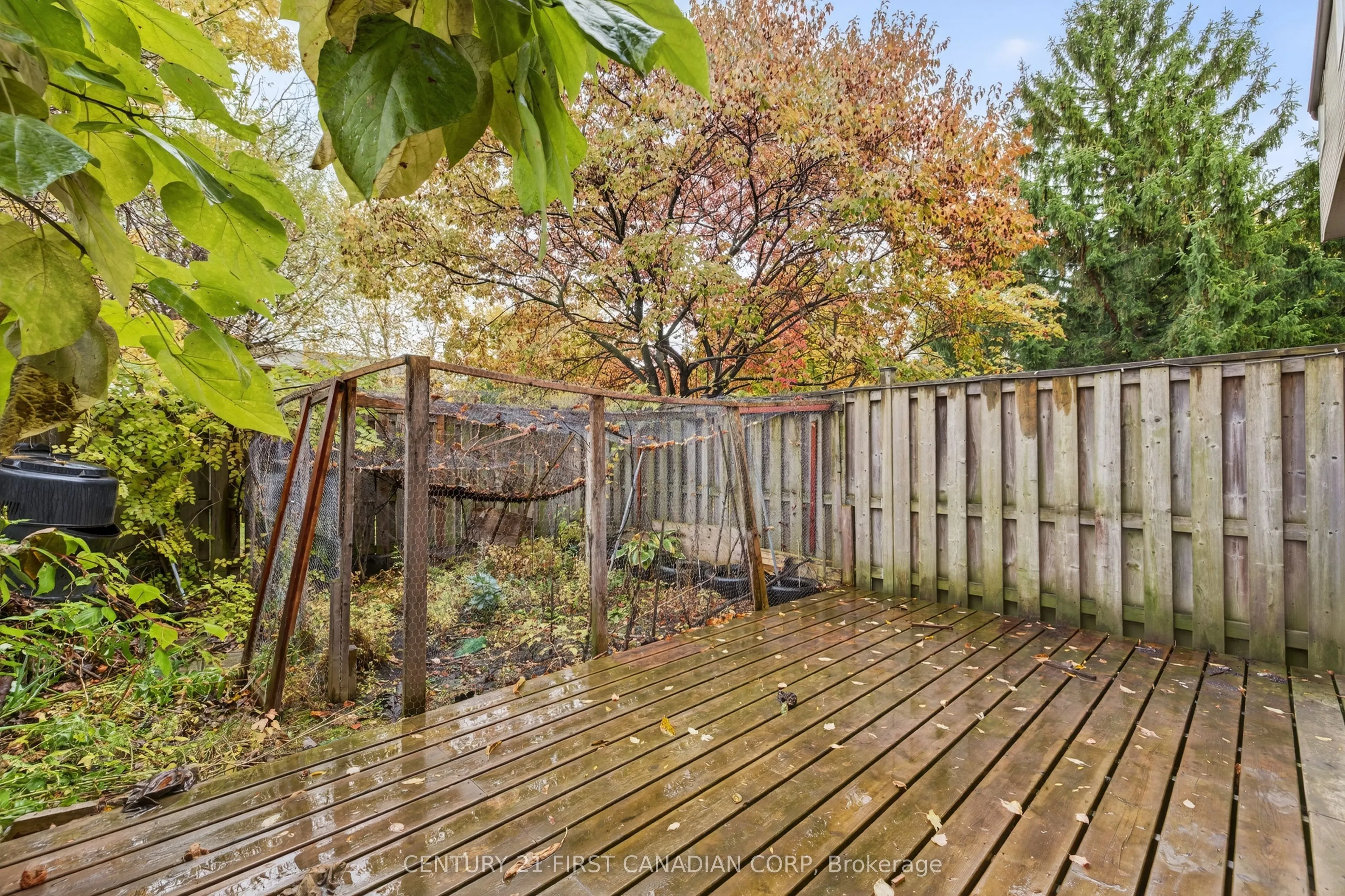 636 Wilkins Street, #5
