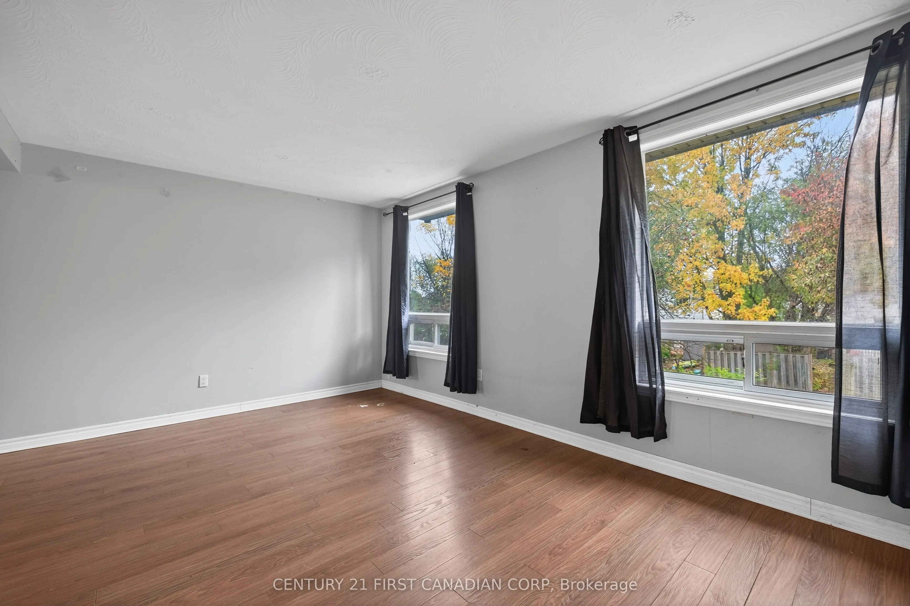 636 Wilkins Street, #5