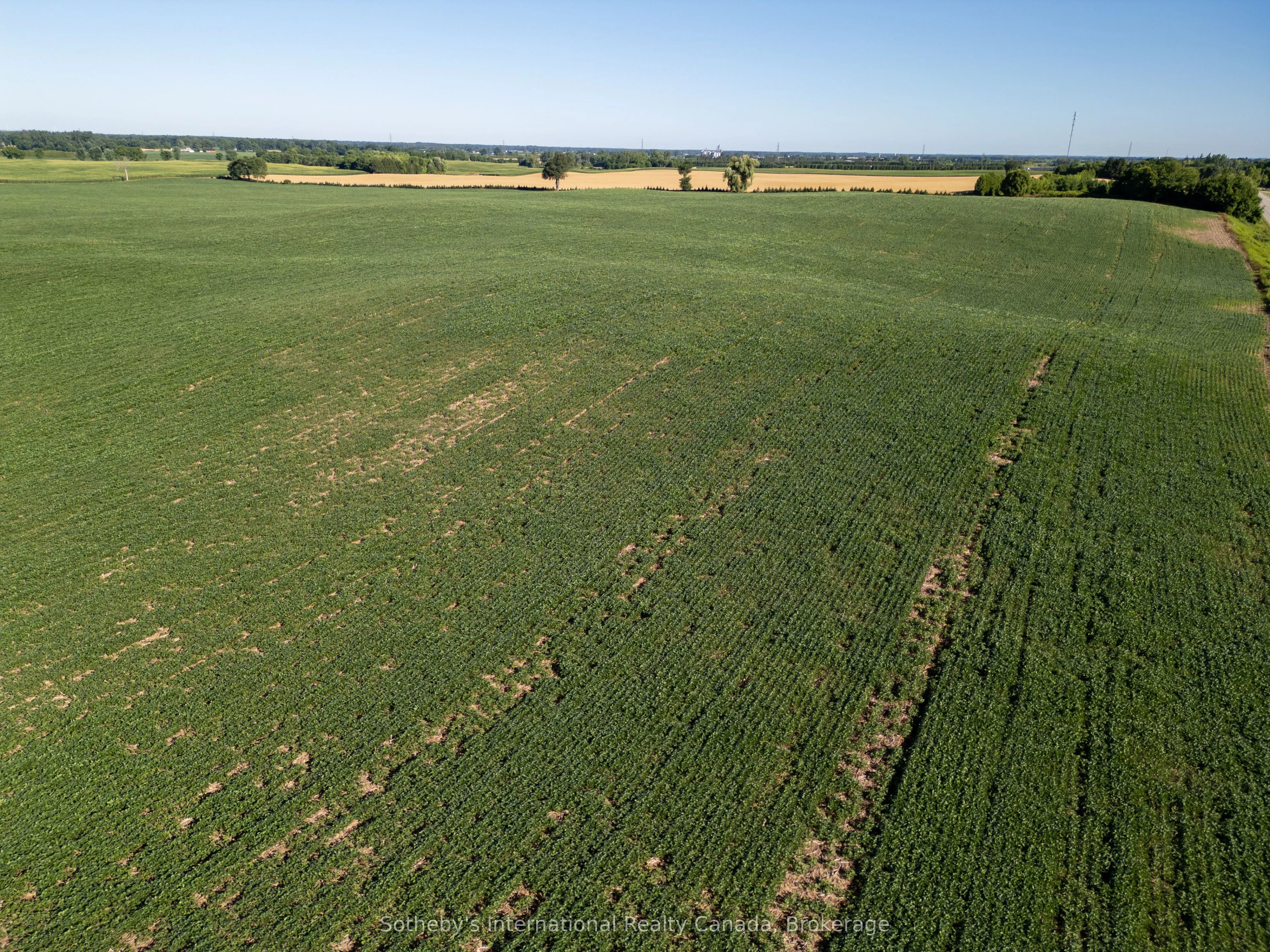 117 Bishopsgate Road