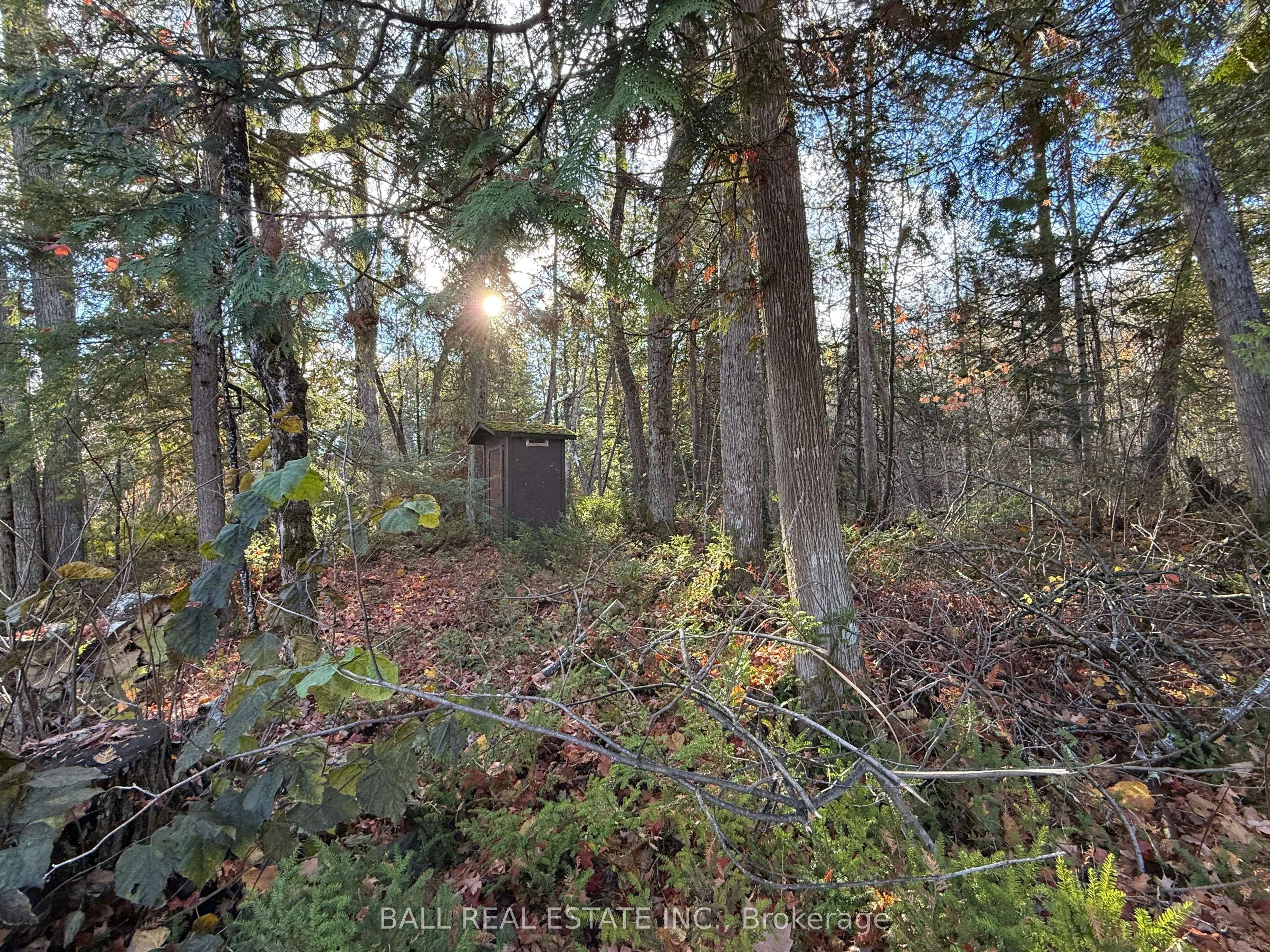 344 Cedarwood Drive