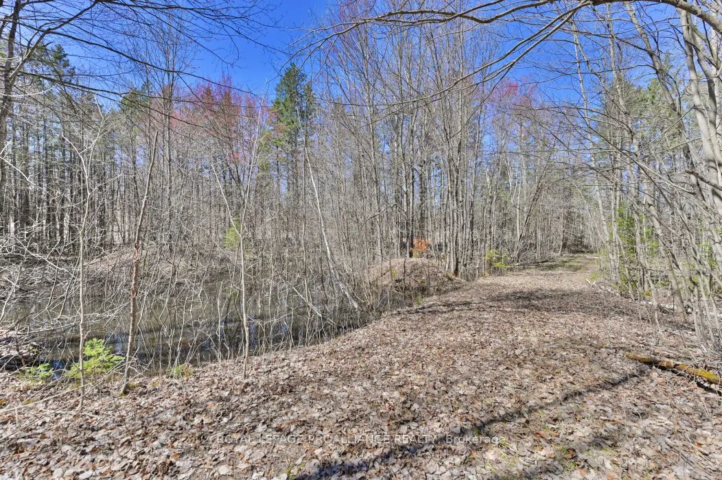 00 Baker Valley Road