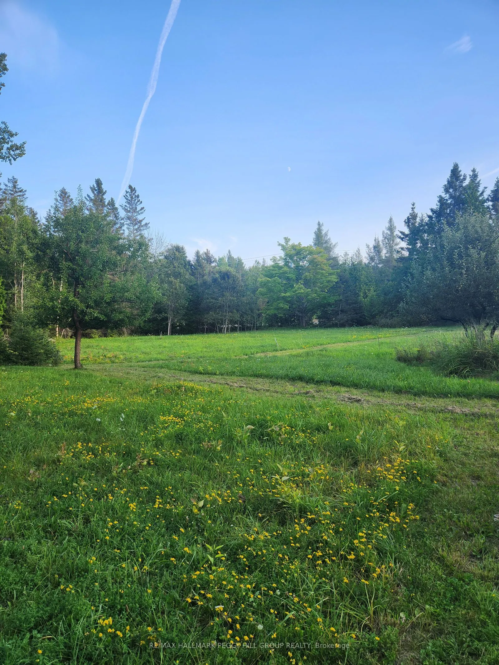 20250 Highway 540