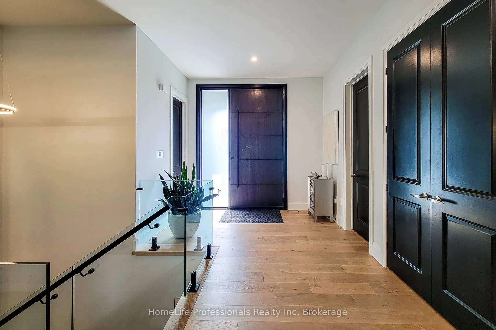 11 Black Willow Court