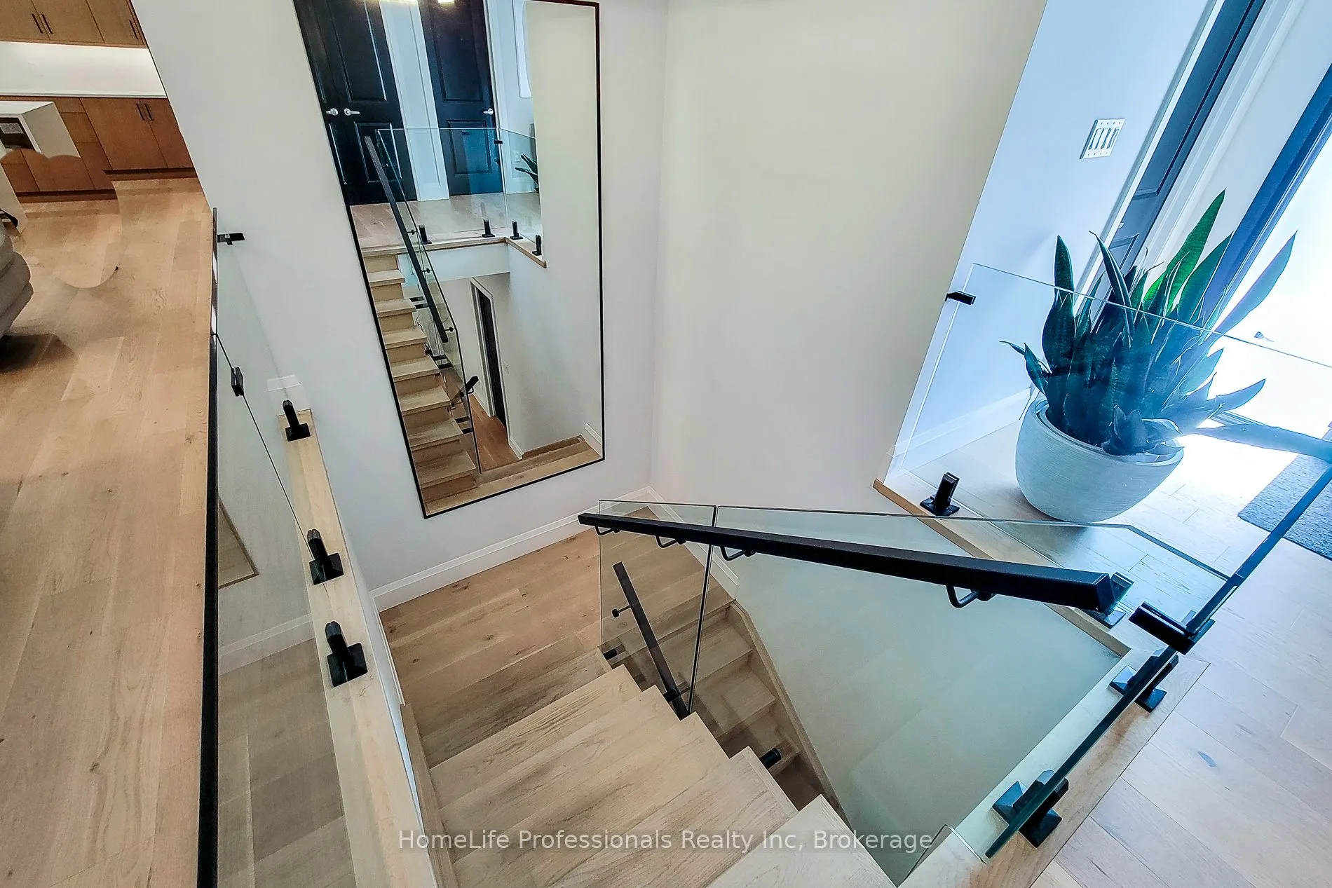 11 Black Willow Court