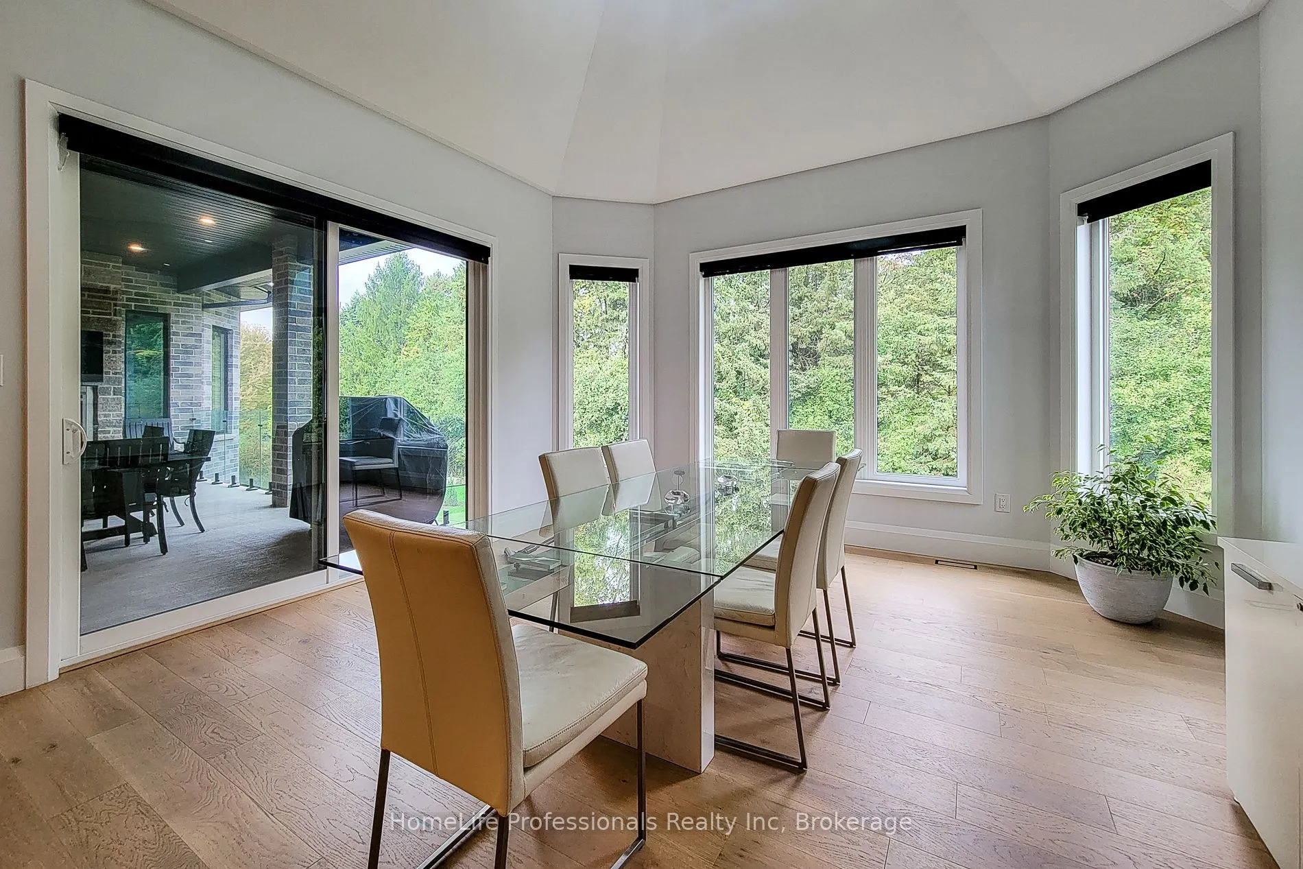 11 Black Willow Court