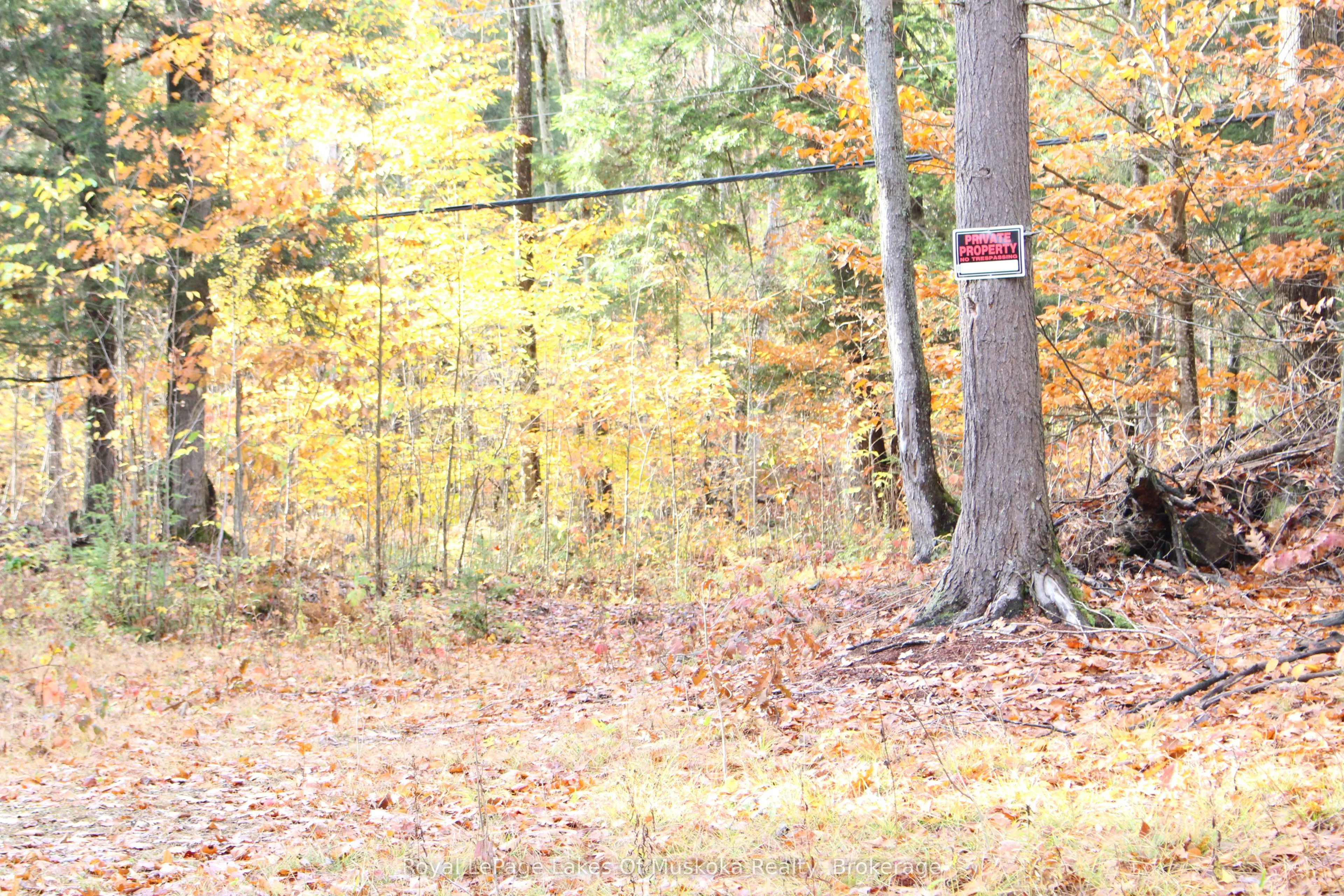 4120 South Portage Road