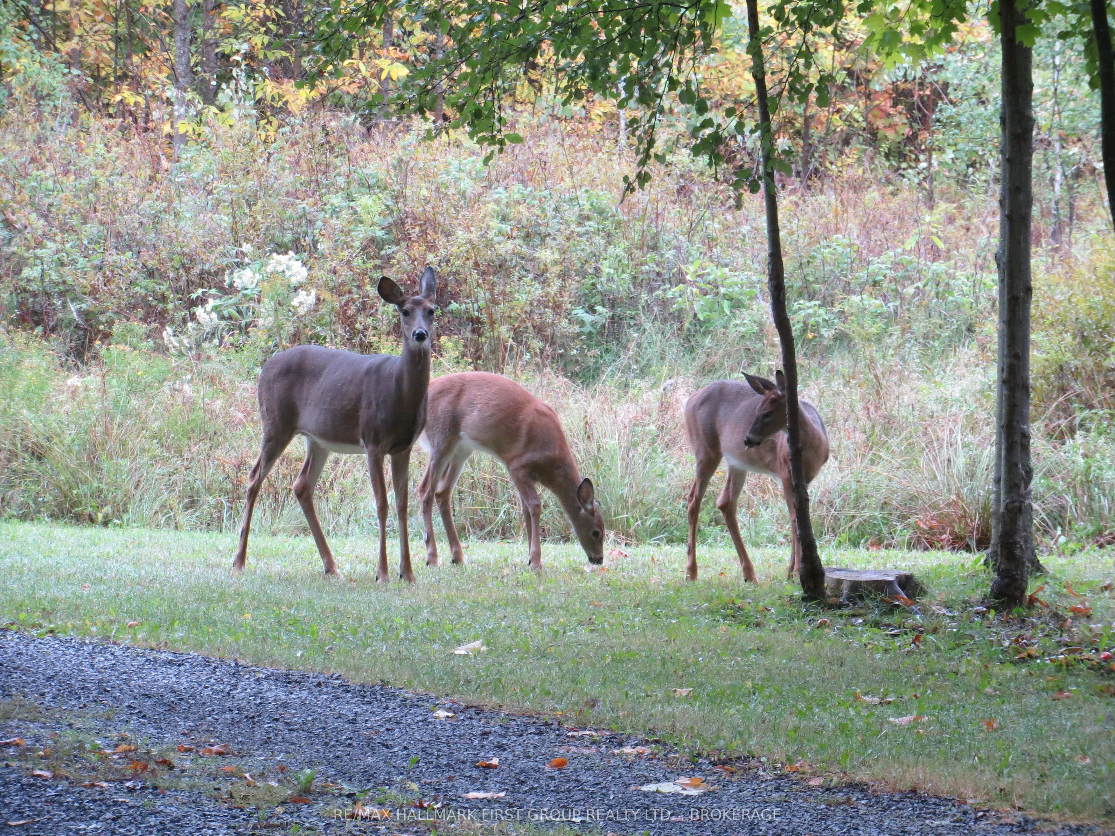 1208 Narrows Lock Road
