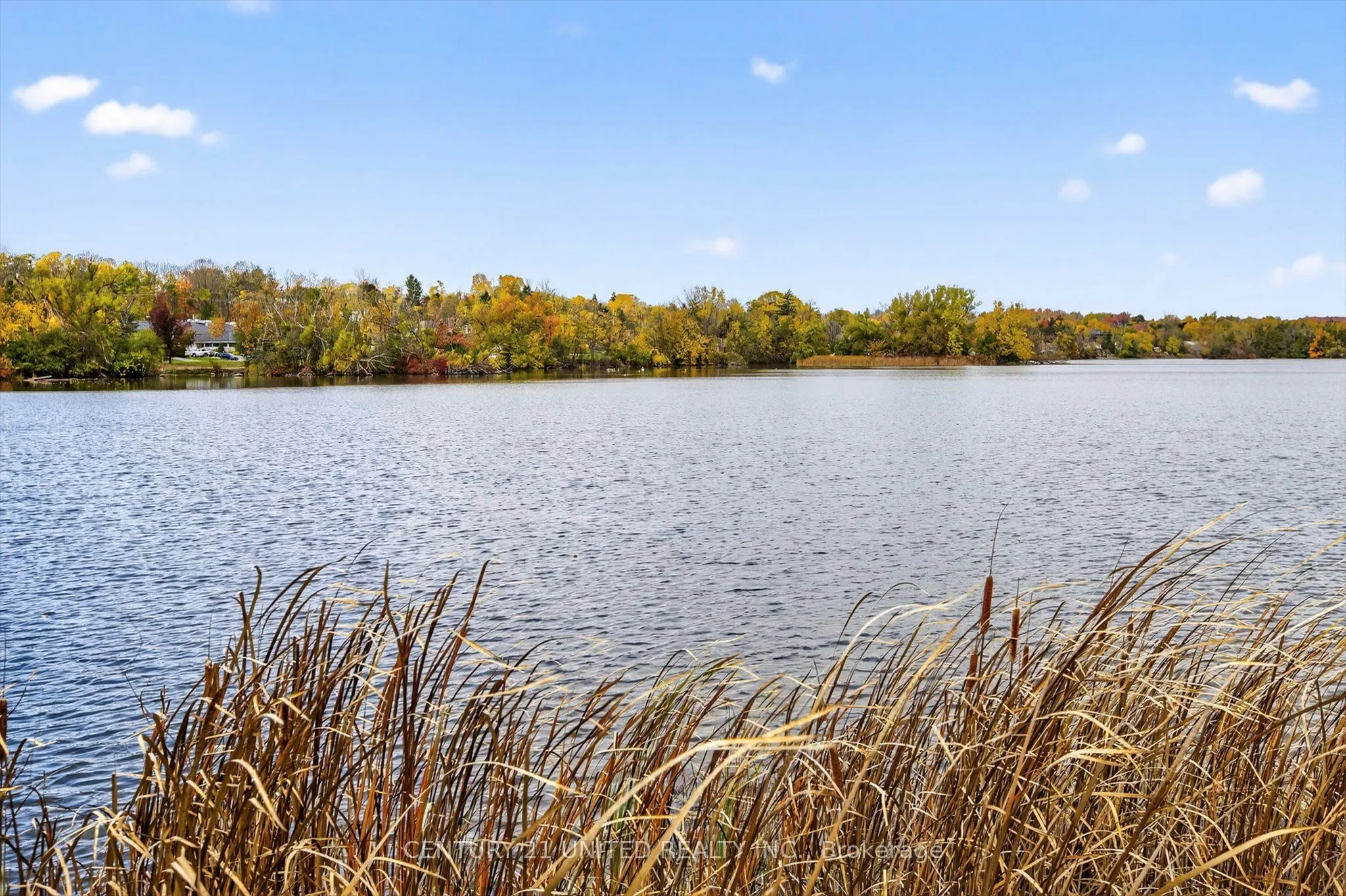 635 Whitaker Street, #8