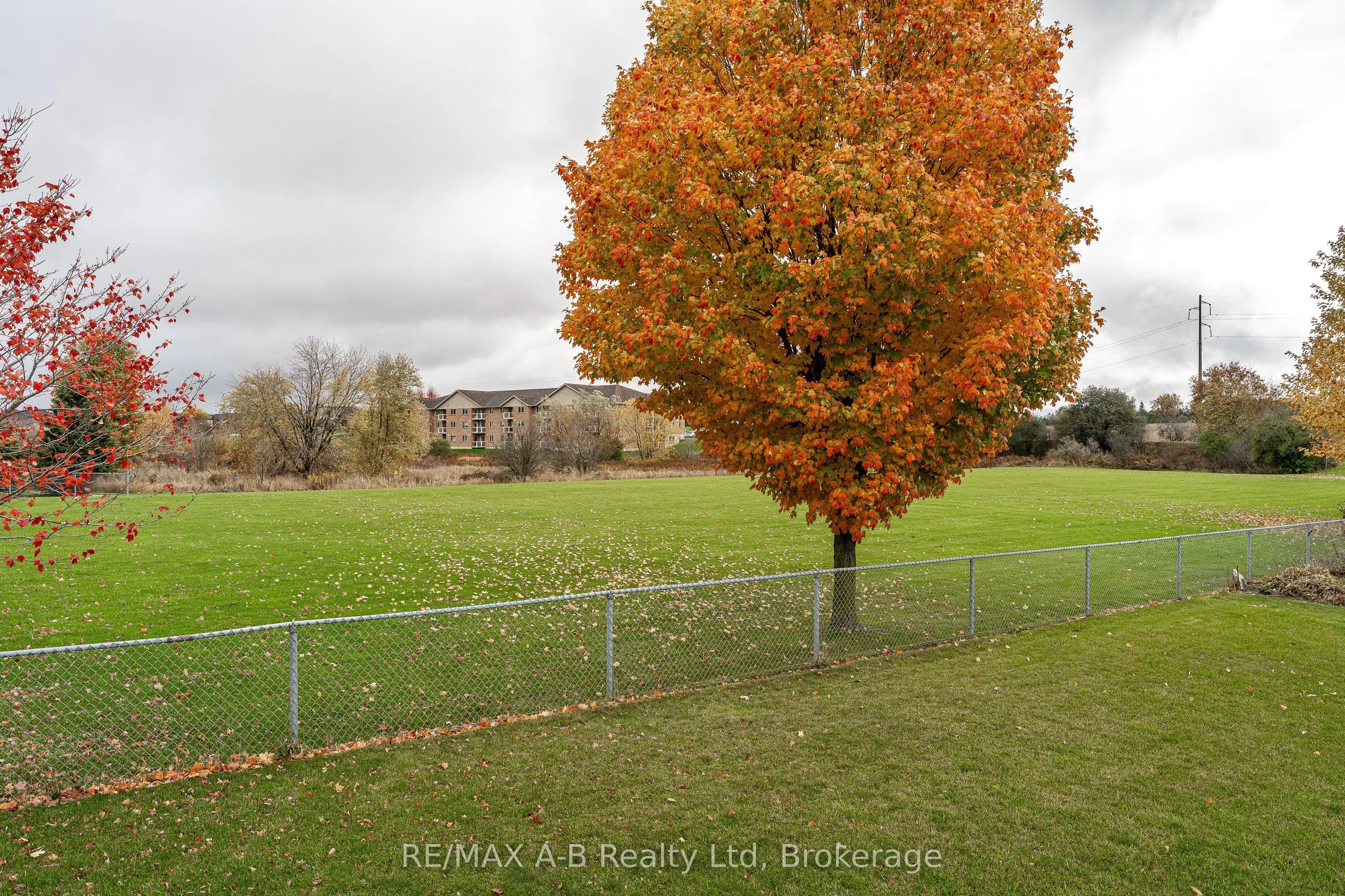 65 Parkhaven Crescent