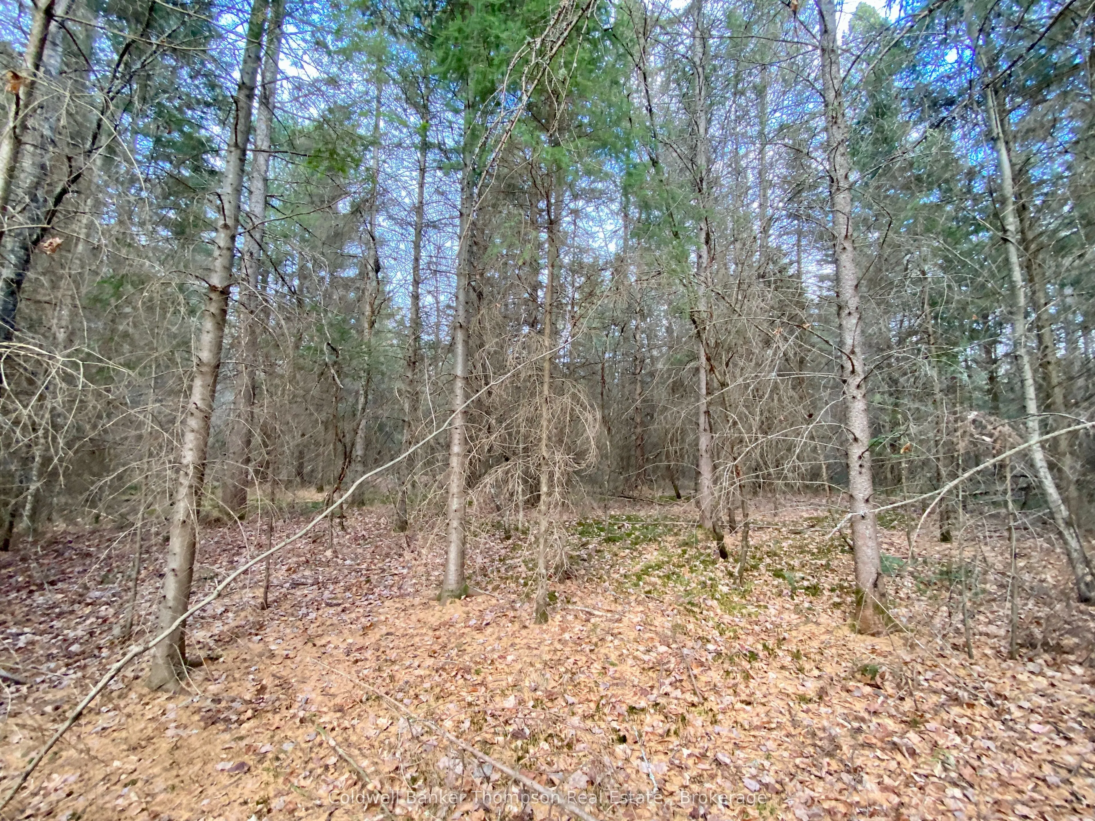 LOT 0-B LEGROU'S LAKE Road