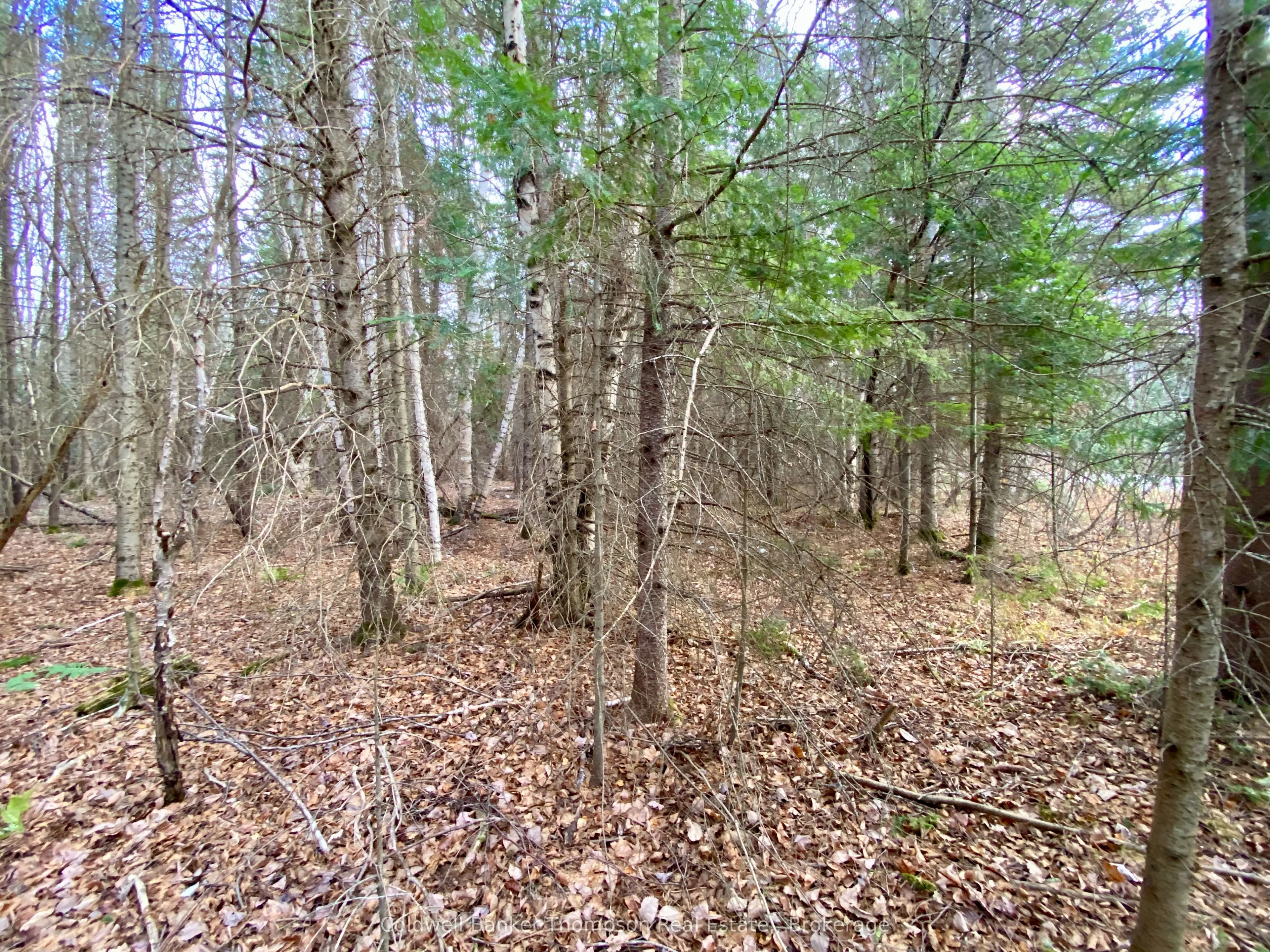 LOT 0-B LEGROU'S LAKE Road