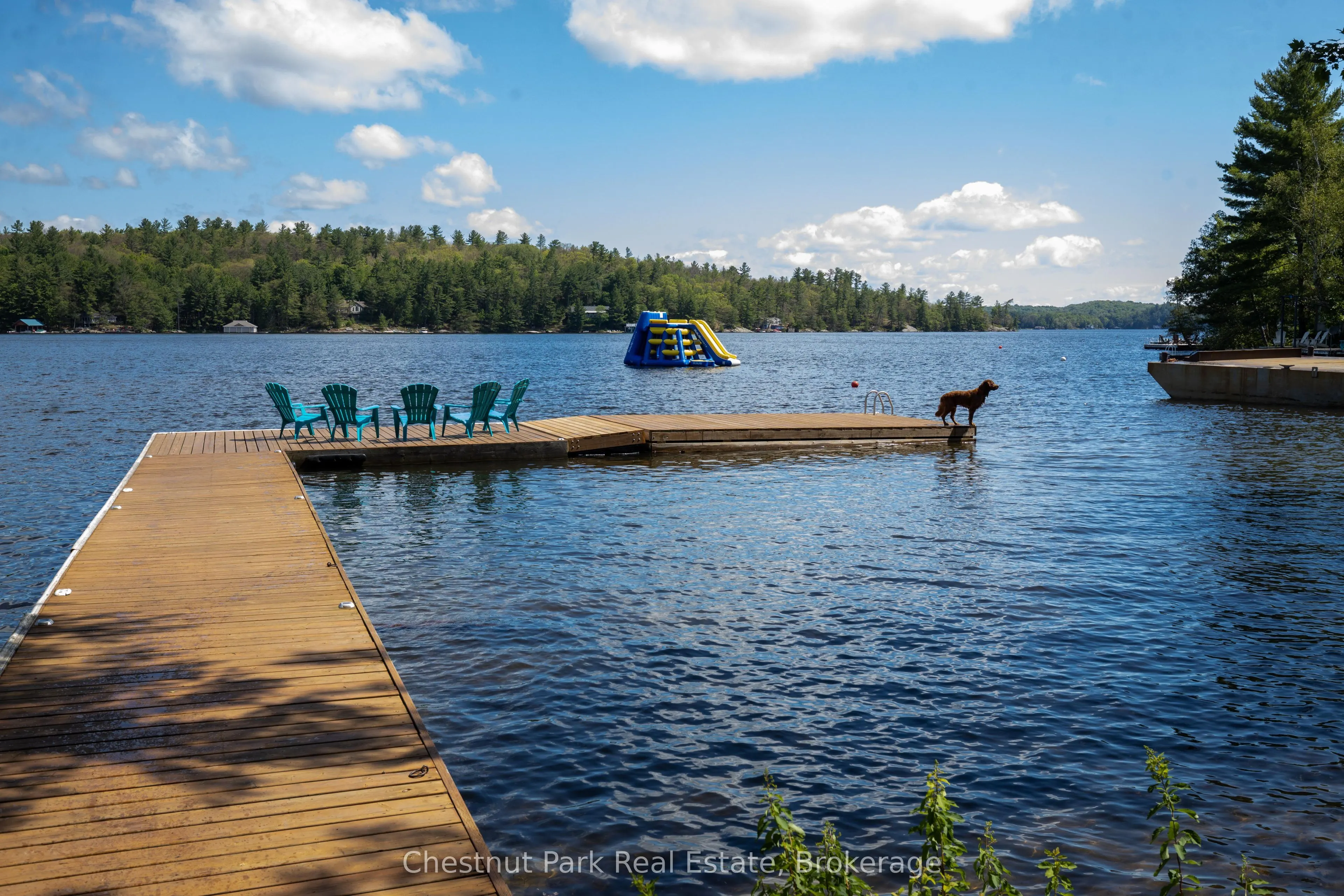 76 Birch Island