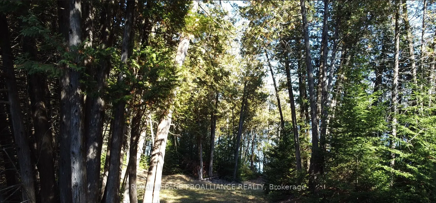 6107 Buckshot Lake Road