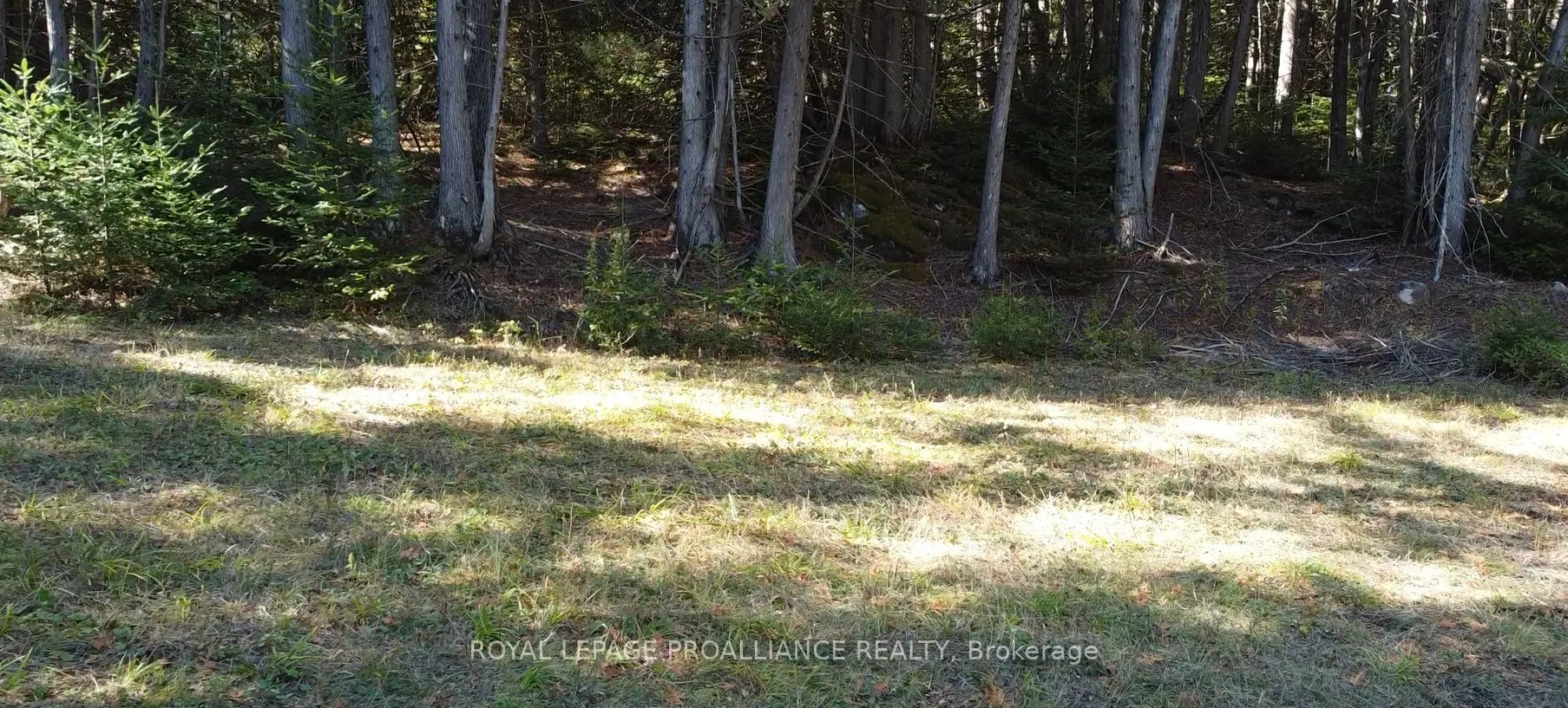 6107 Buckshot Lake Road