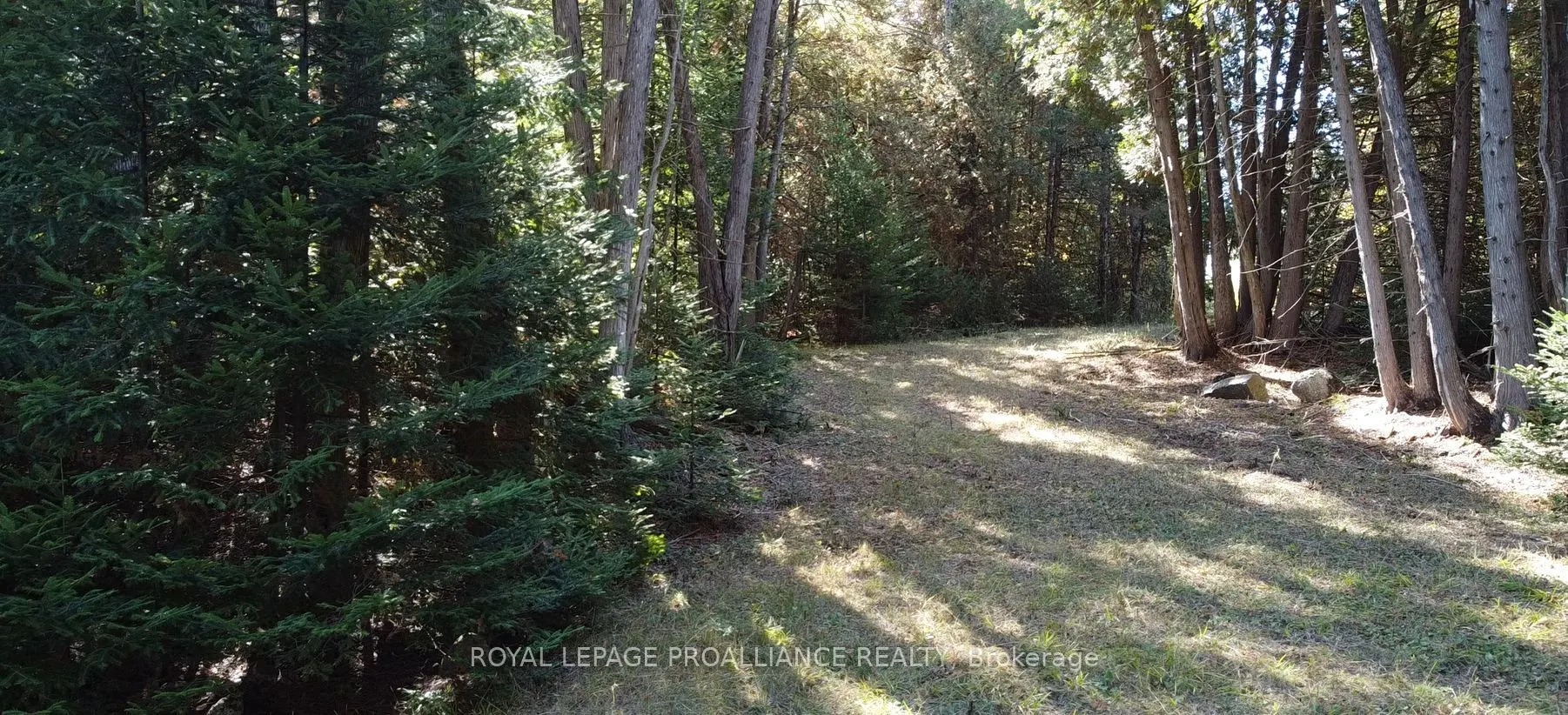 6107 Buckshot Lake Road