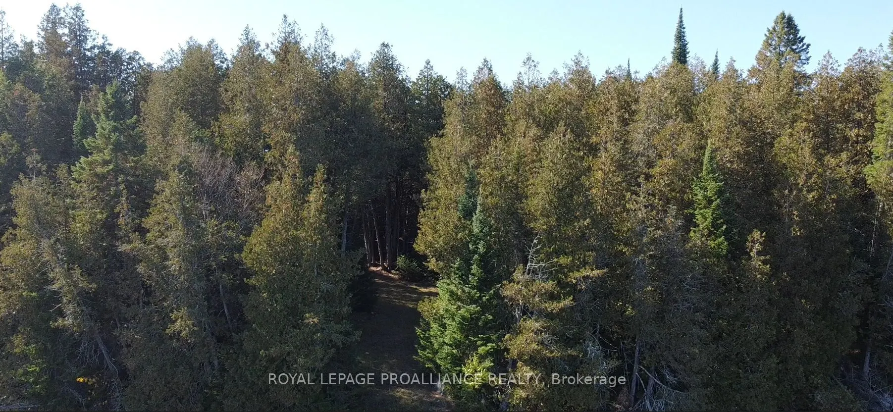 6107 Buckshot Lake Road